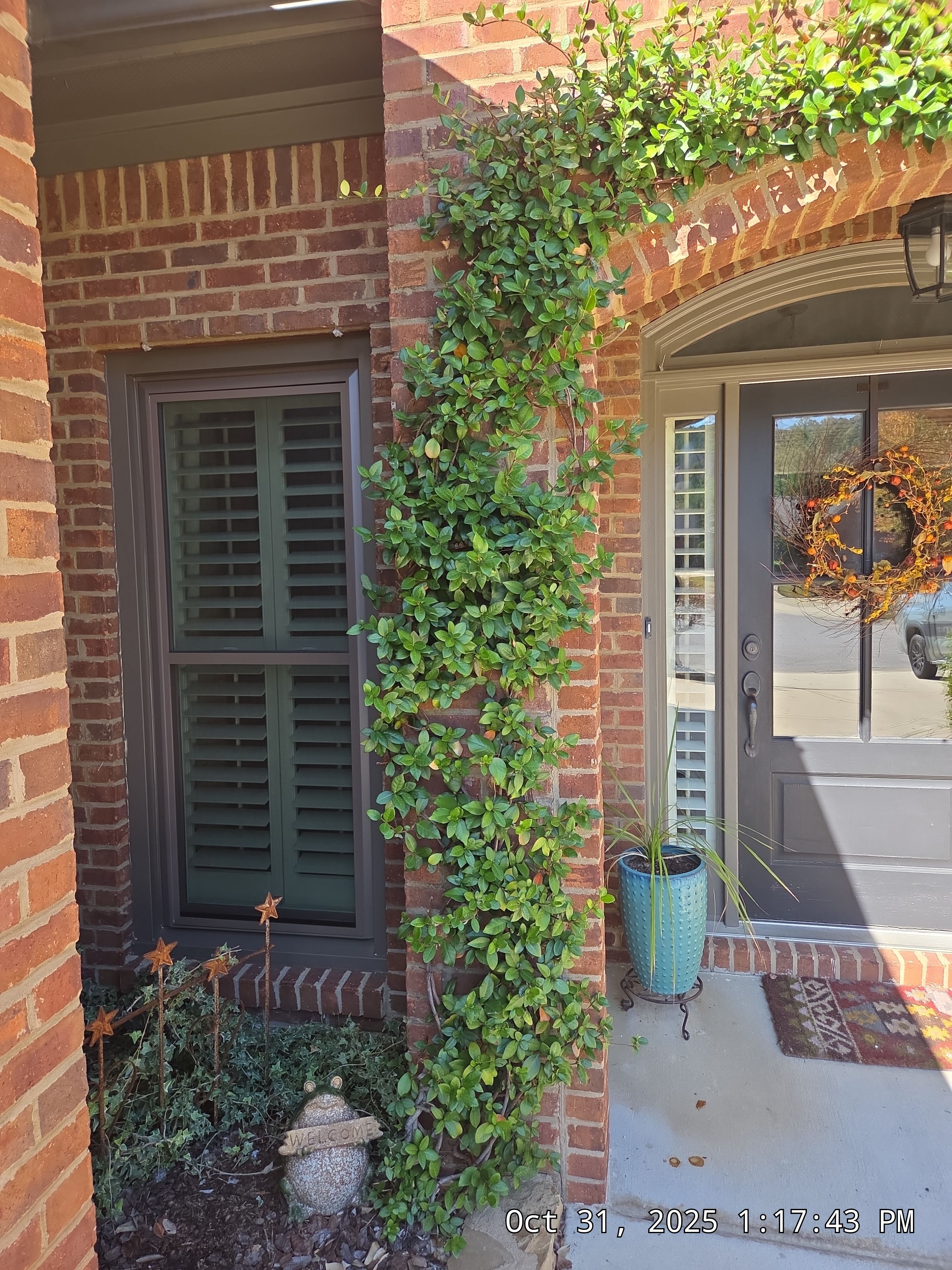 Ruffino Project in Hoover by The Window Source