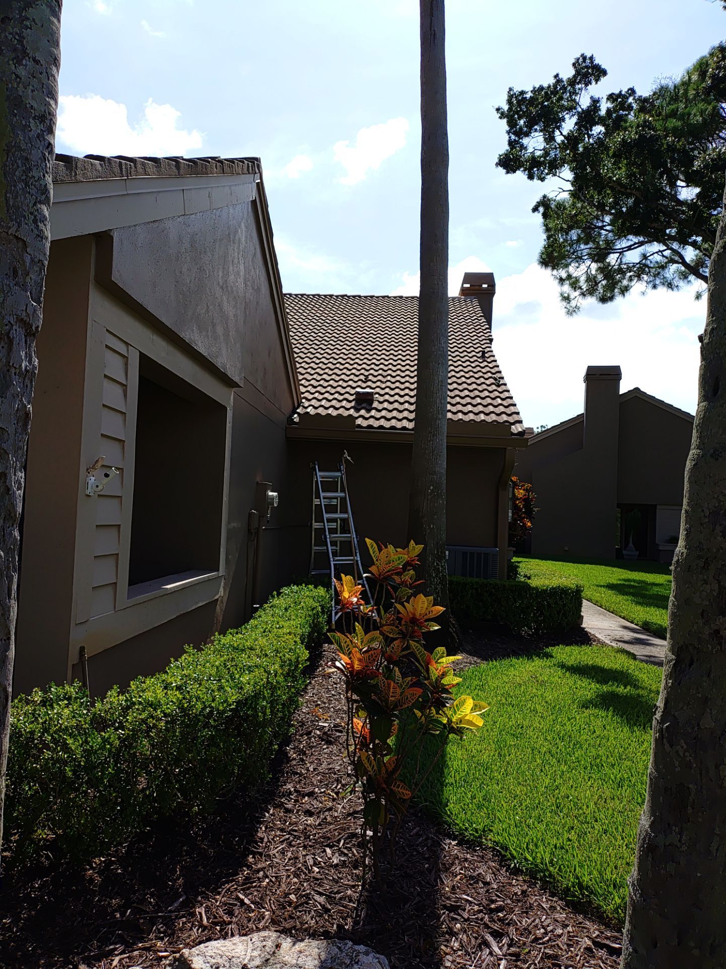 Replace gutter using Gutter Guards, Seamless Gutters, New Downspouts in Palm Harbor FL by Gutter Professors