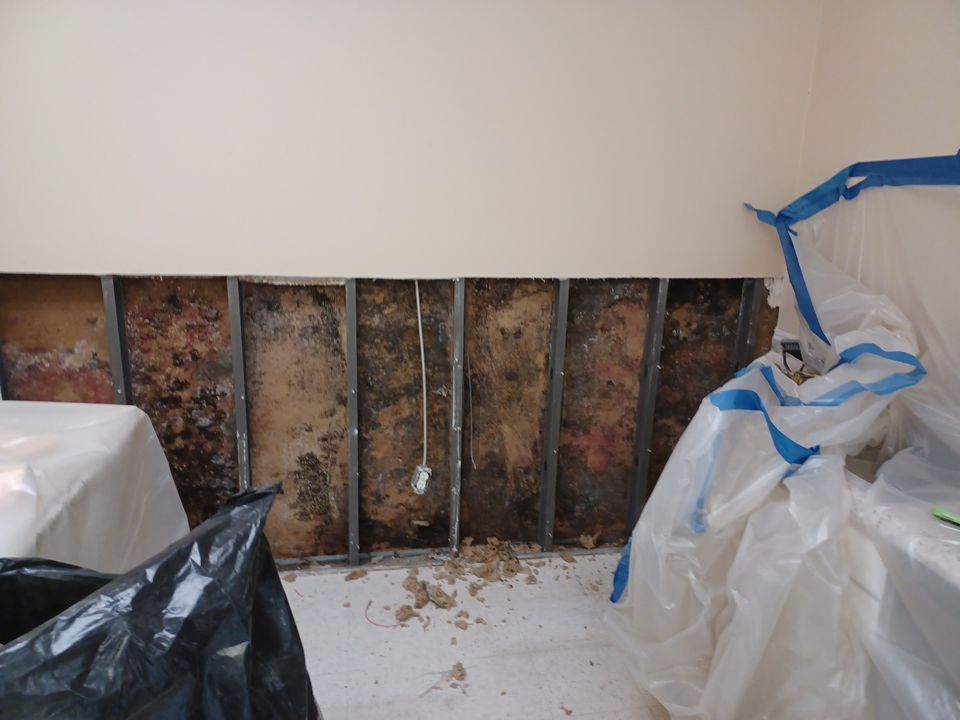 Project in Commerce Twp by EzDry Water Mitigation & Property Restoration