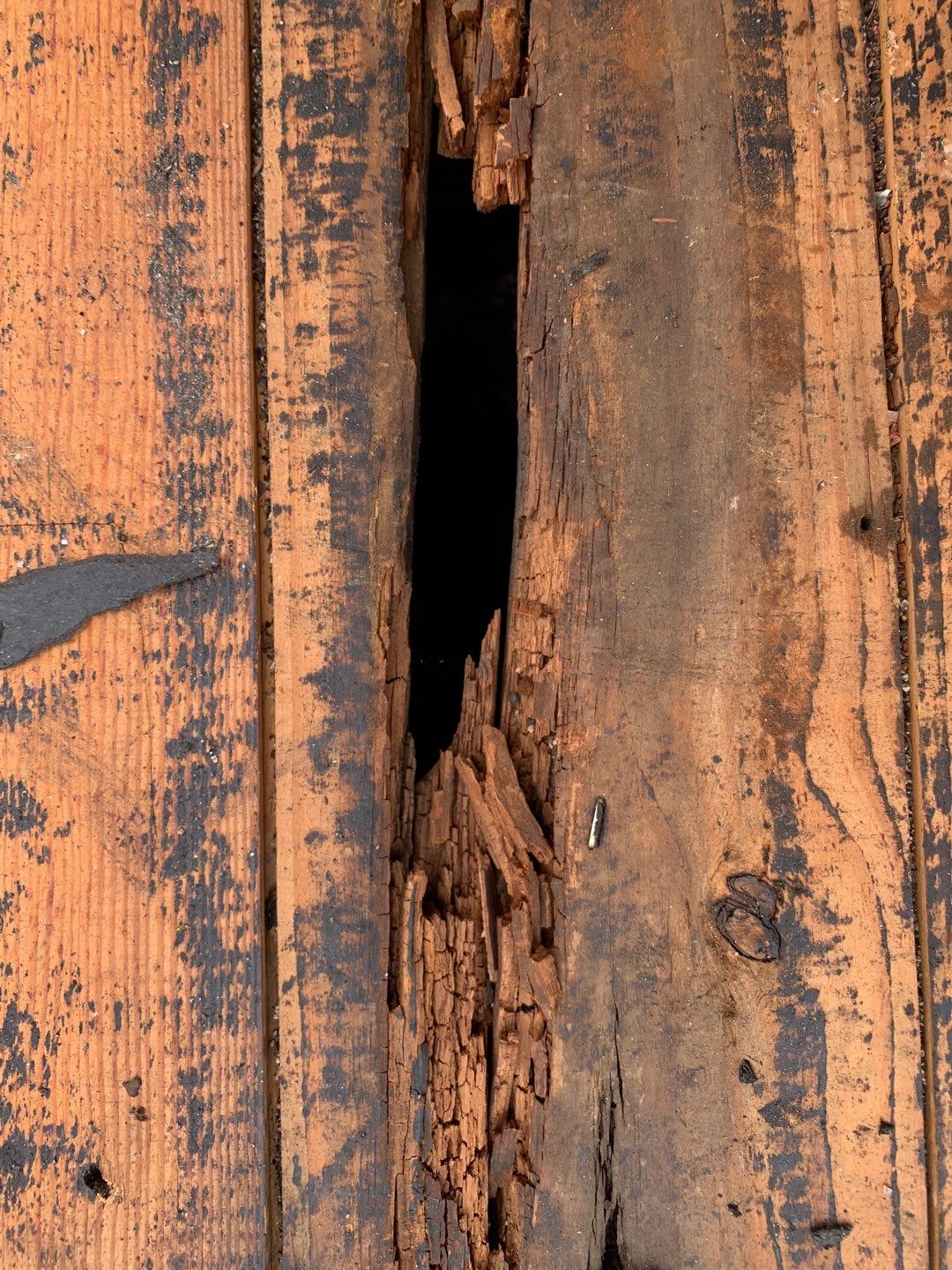 Siding Installation using Certainteed monogram charcoal gray Owens Corning Onyx Black by A Plus Exterior