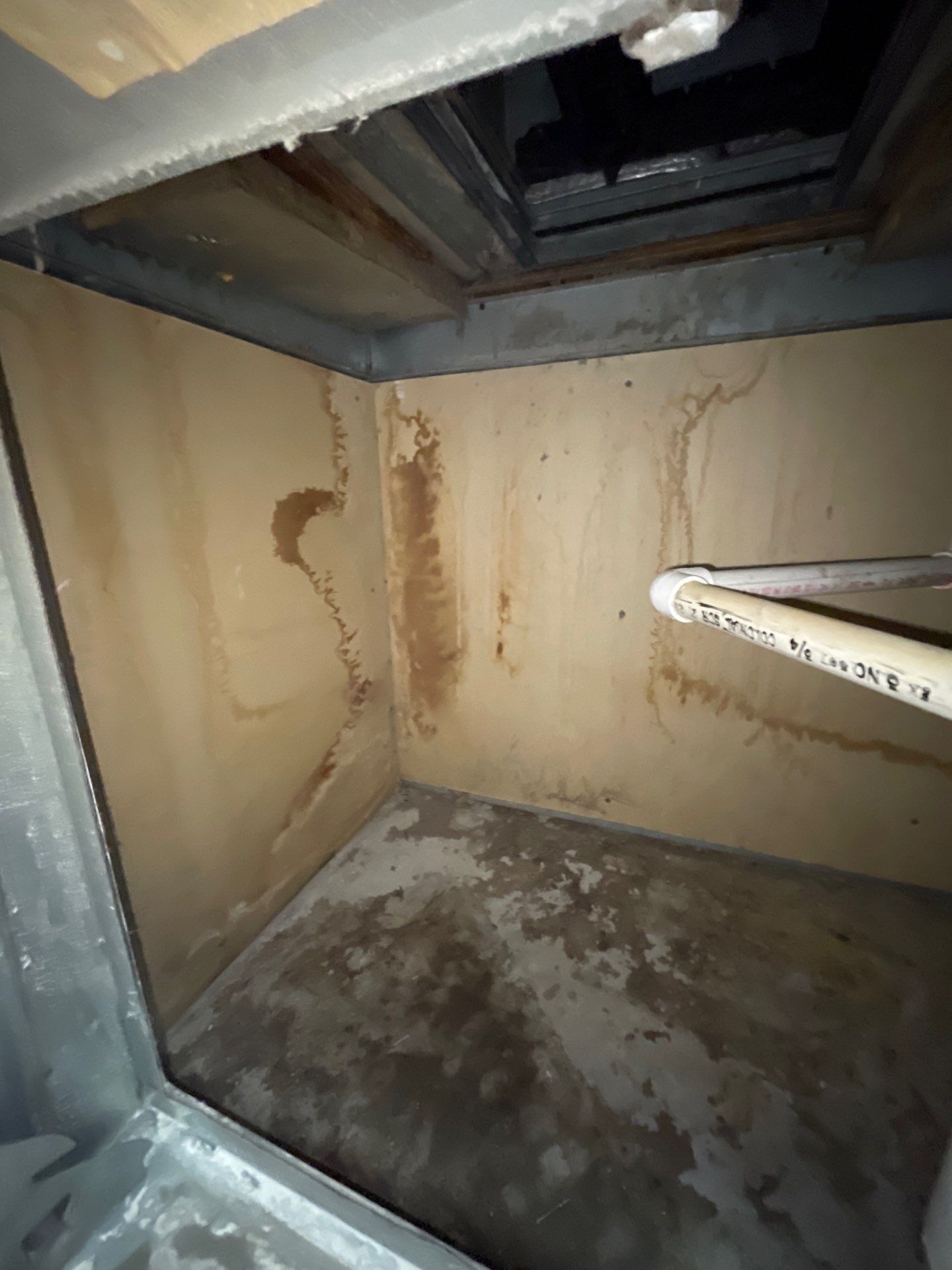 Commercial Air Duct Cleaning in Tavares by Hygienic Air, Inc