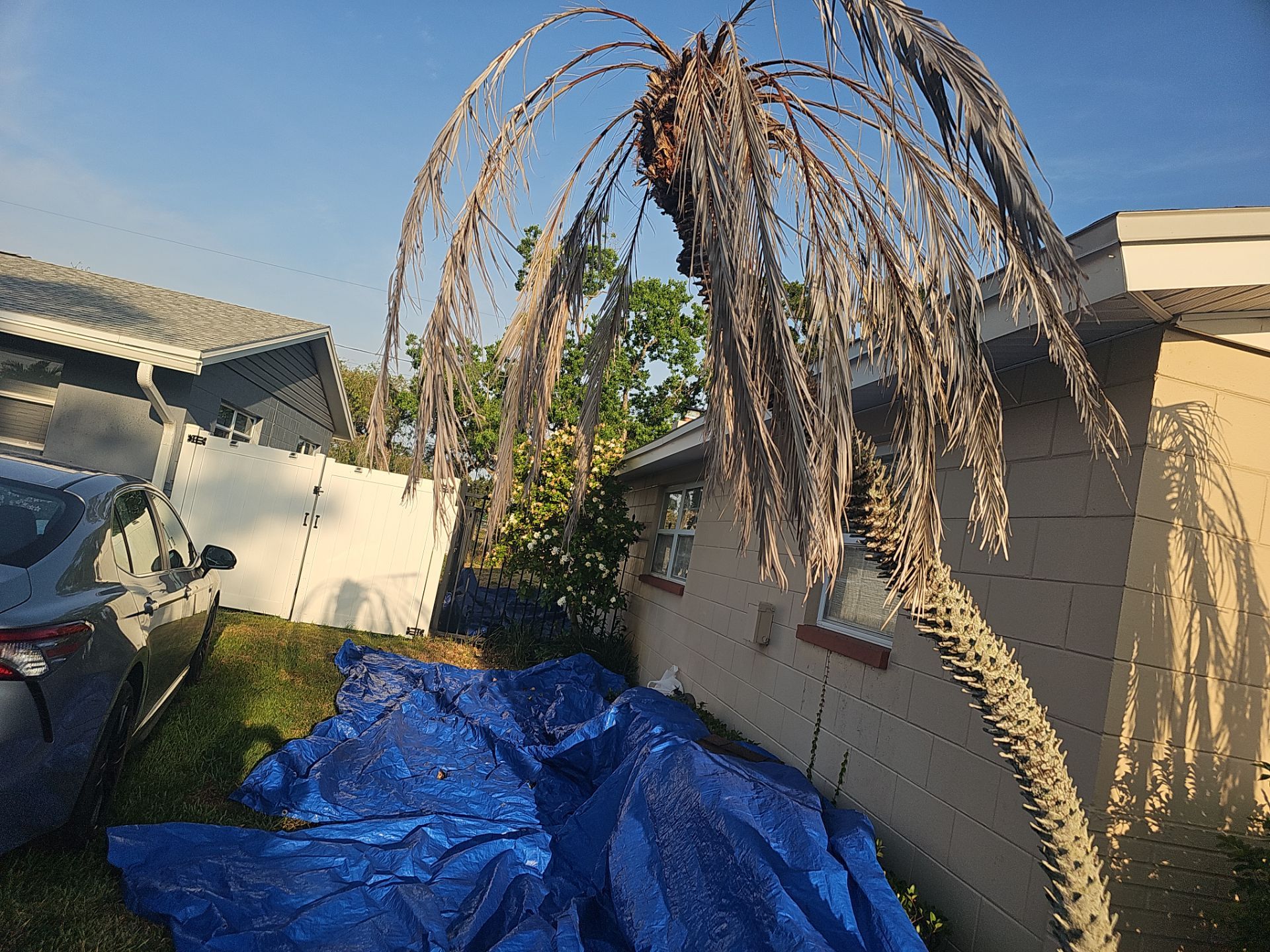 Project in Pinellas Park 33782 by Mitchell Roofing Company LLC 
