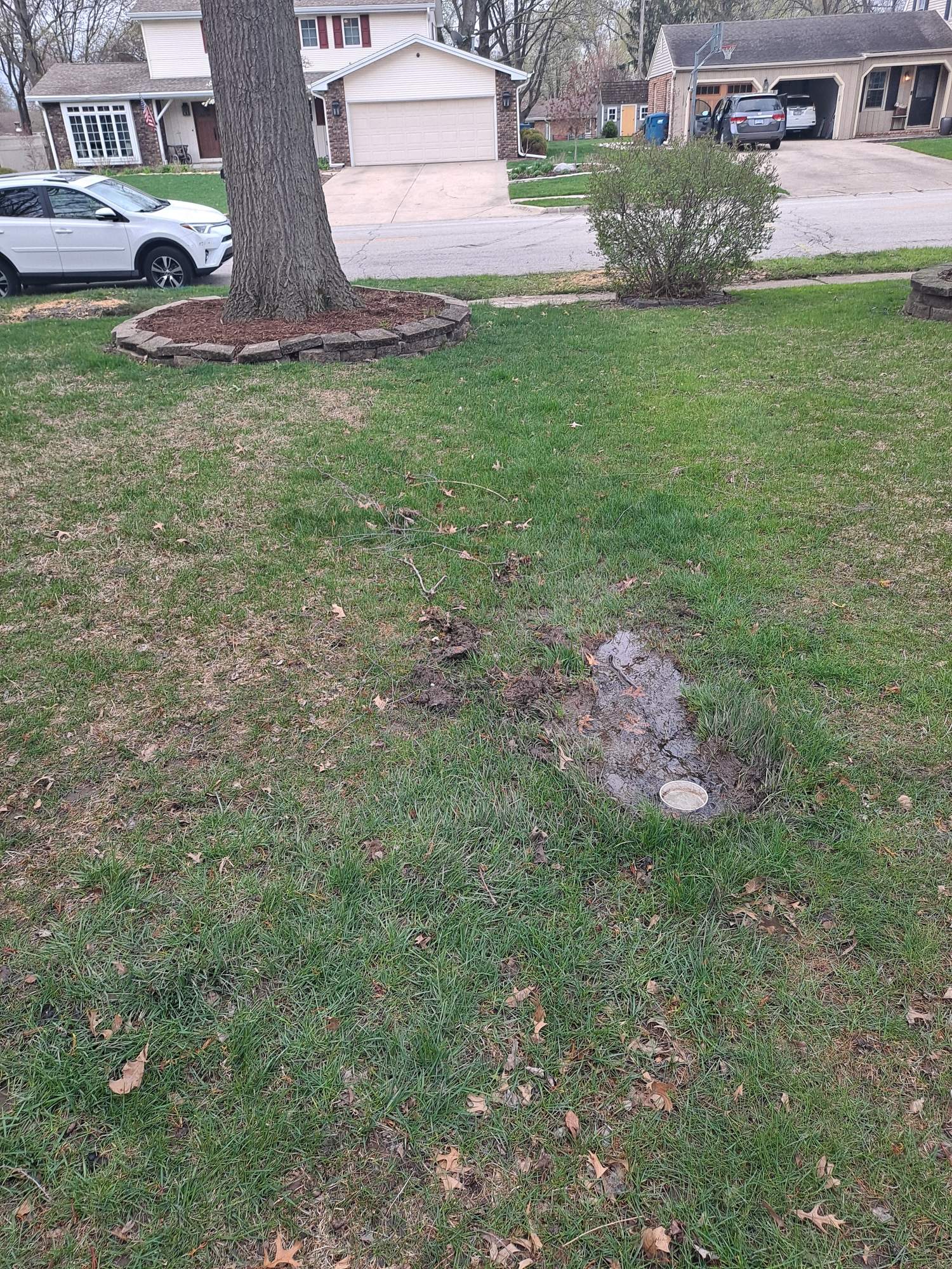 Exterior Sump Pump Discharge System by Allied Water Services