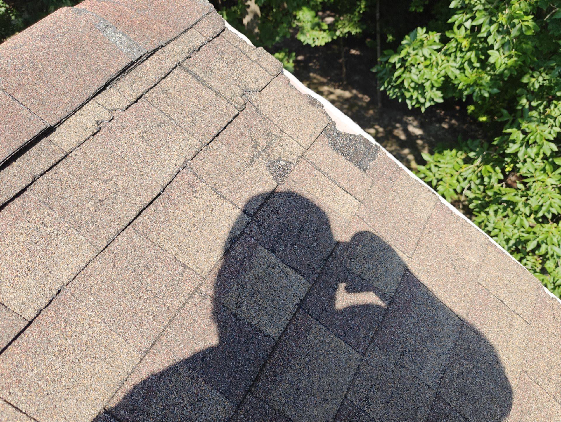 Grandiflora by Breeze Roofing Inc
