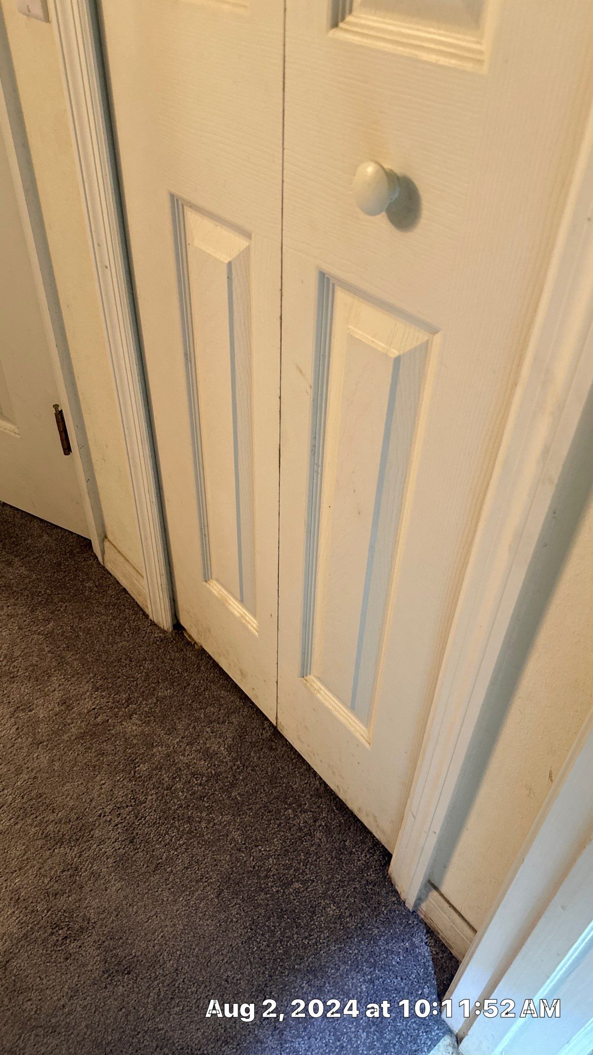 Mold Assessment using IR Camera, Moisture Meter, Air Cassette samples and Tape lifts by Building performance Solutions LLC