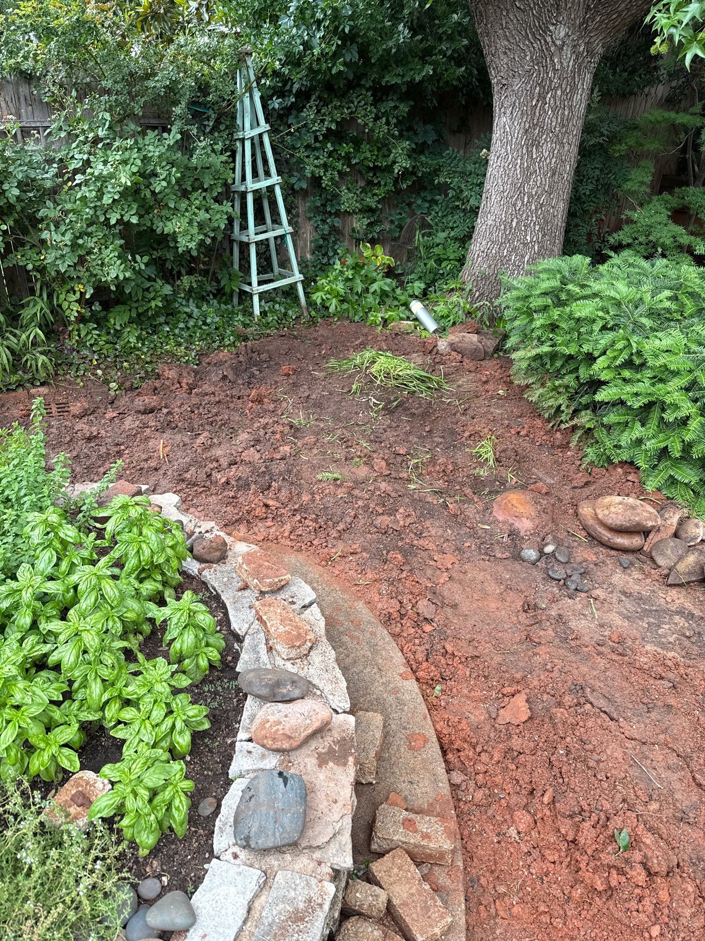 Project in Oklahoma City by PRO-ROOTER