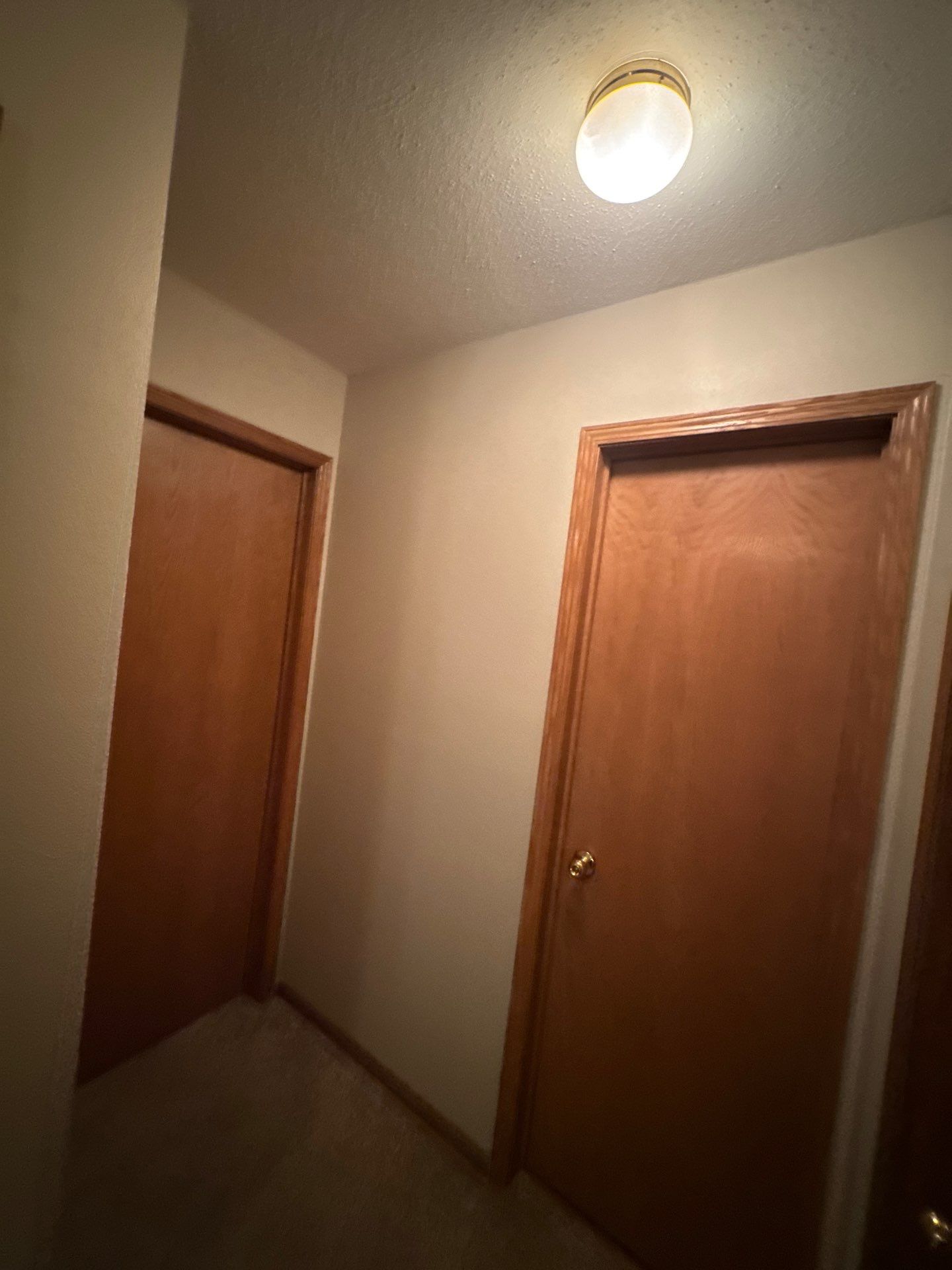 Project in Ankeny, IA by Midwest Paint LLC