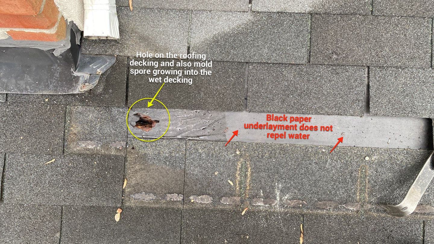 Exterior Repair using Porch and roof repair  by Alpha Design Services