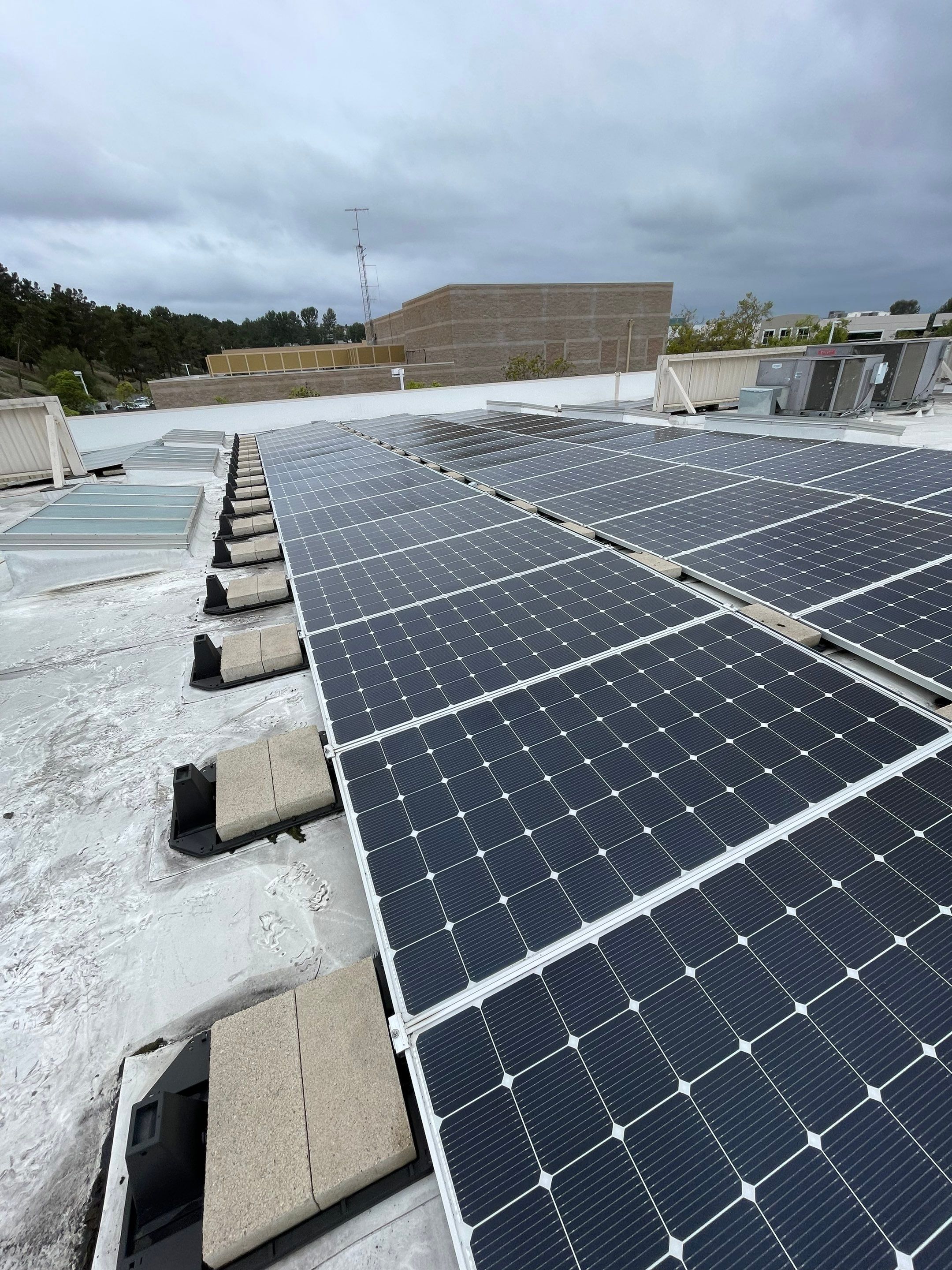 Commercial Solar Cleaning by Palm Coast Solar Cleaning