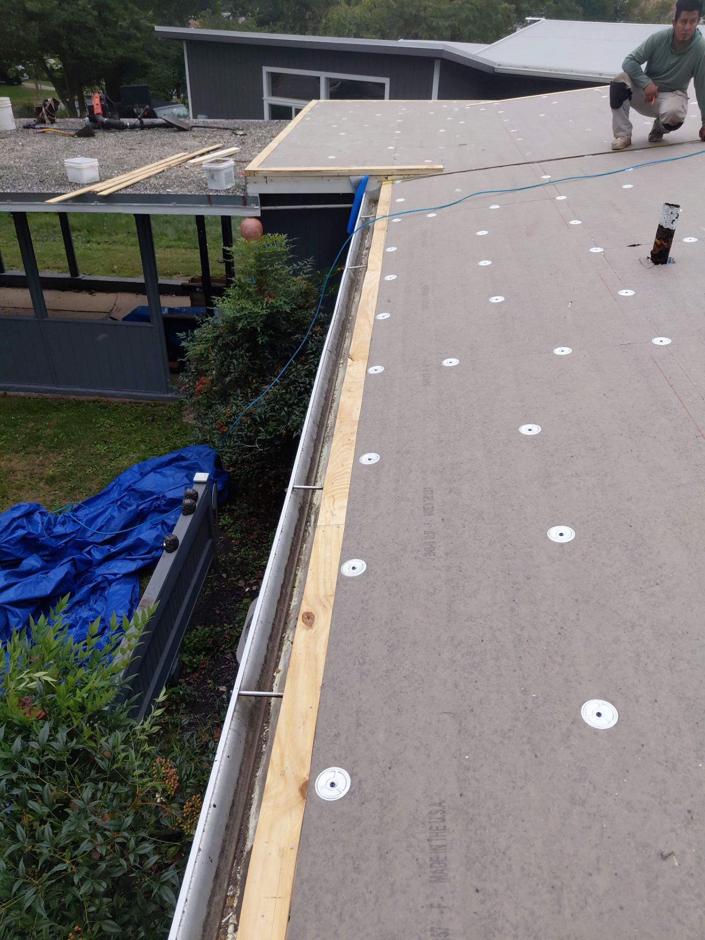 Falls Church :  TPO by RM Banning, Inc.