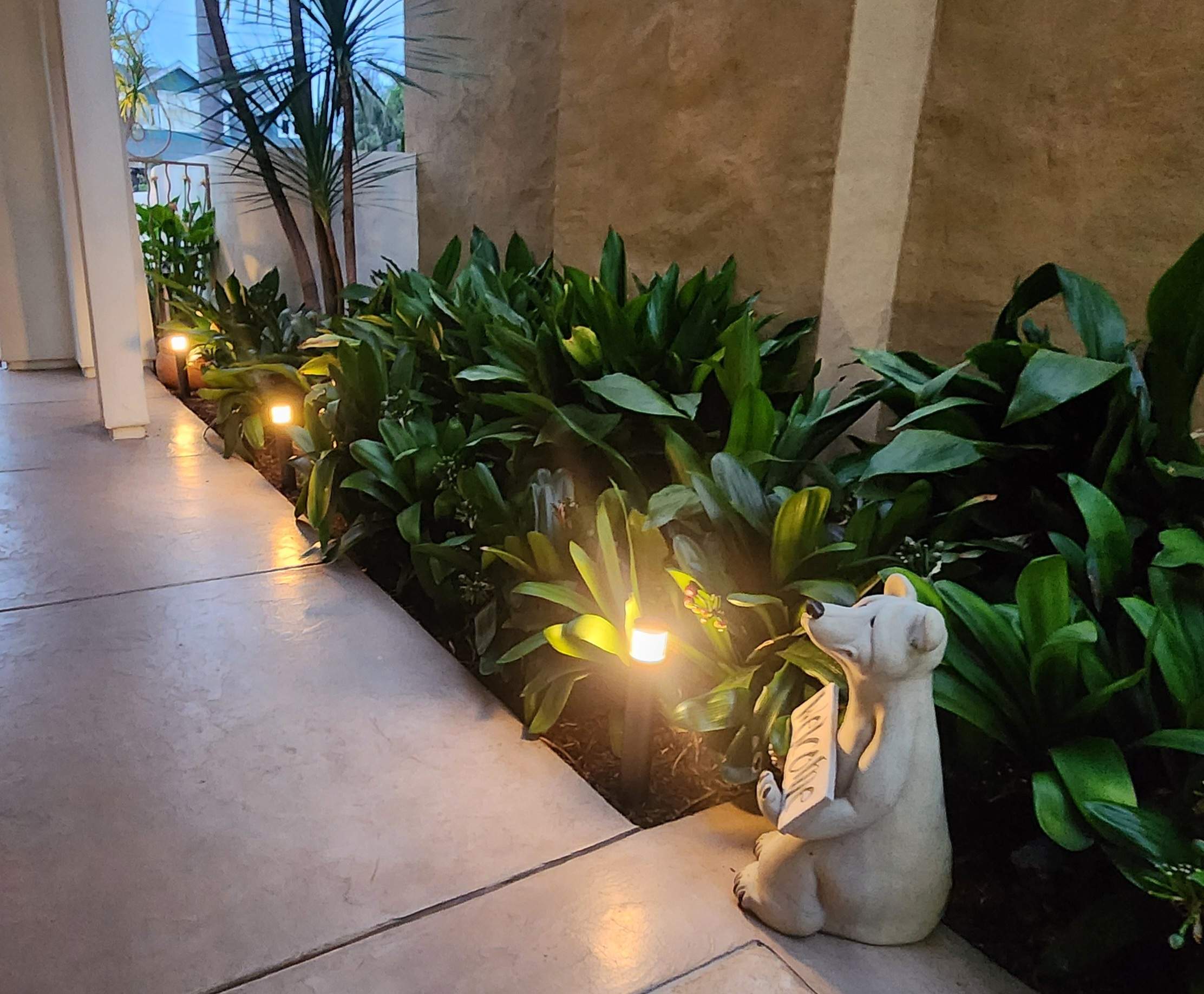 Residential Landscape Lighting and Pathway Enhancements in Coronado by Yard Techs