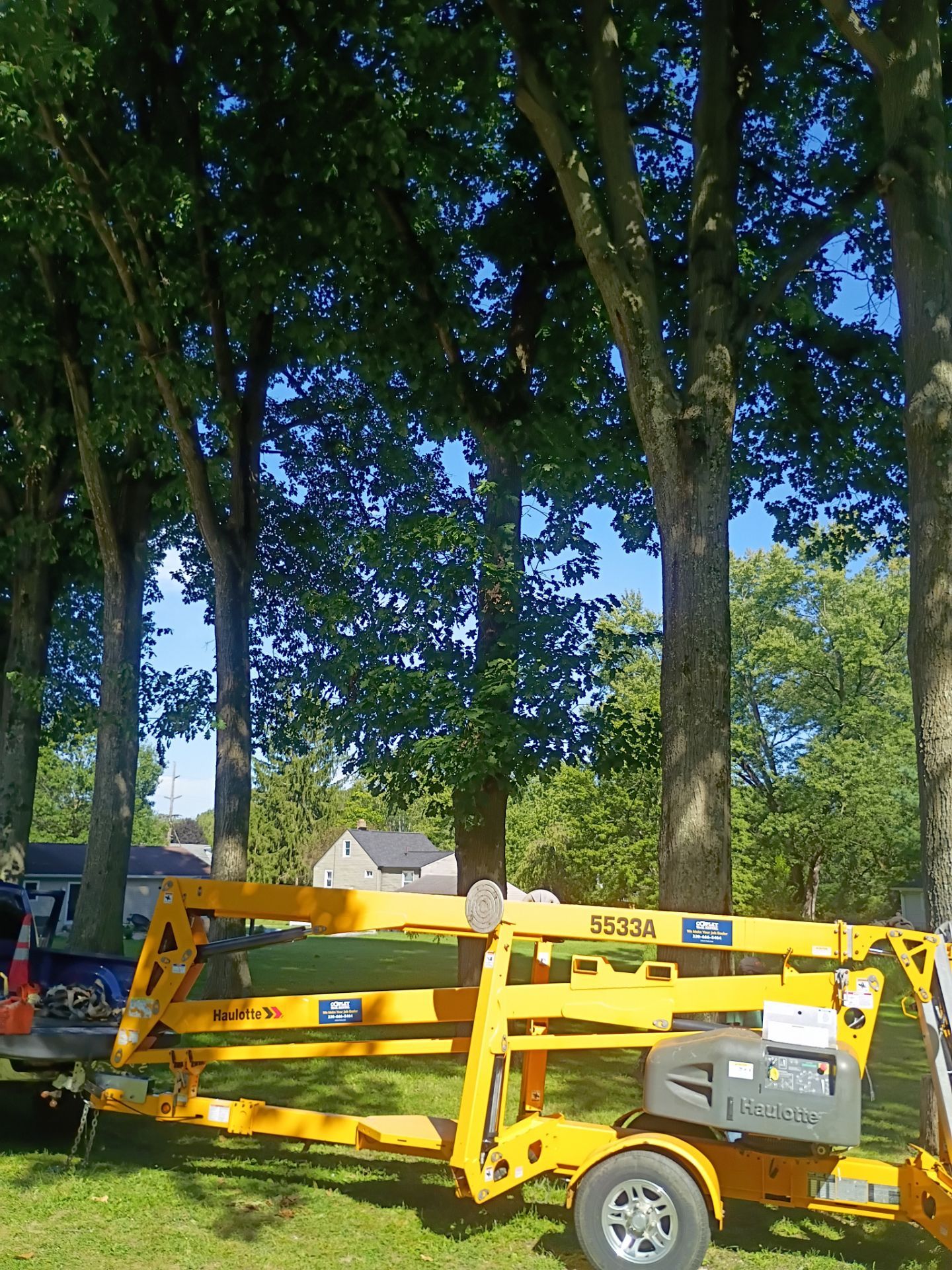 Tree Trimming & Tree Removal in Akron Ohio by Mike Jones & Sons Tree Service LLC 