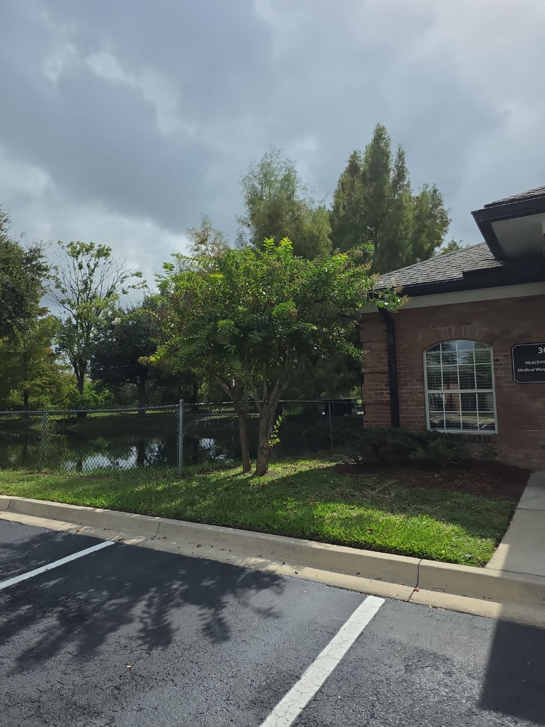 Commercial Property | Tree Removal & Trimming by ProGreen Services