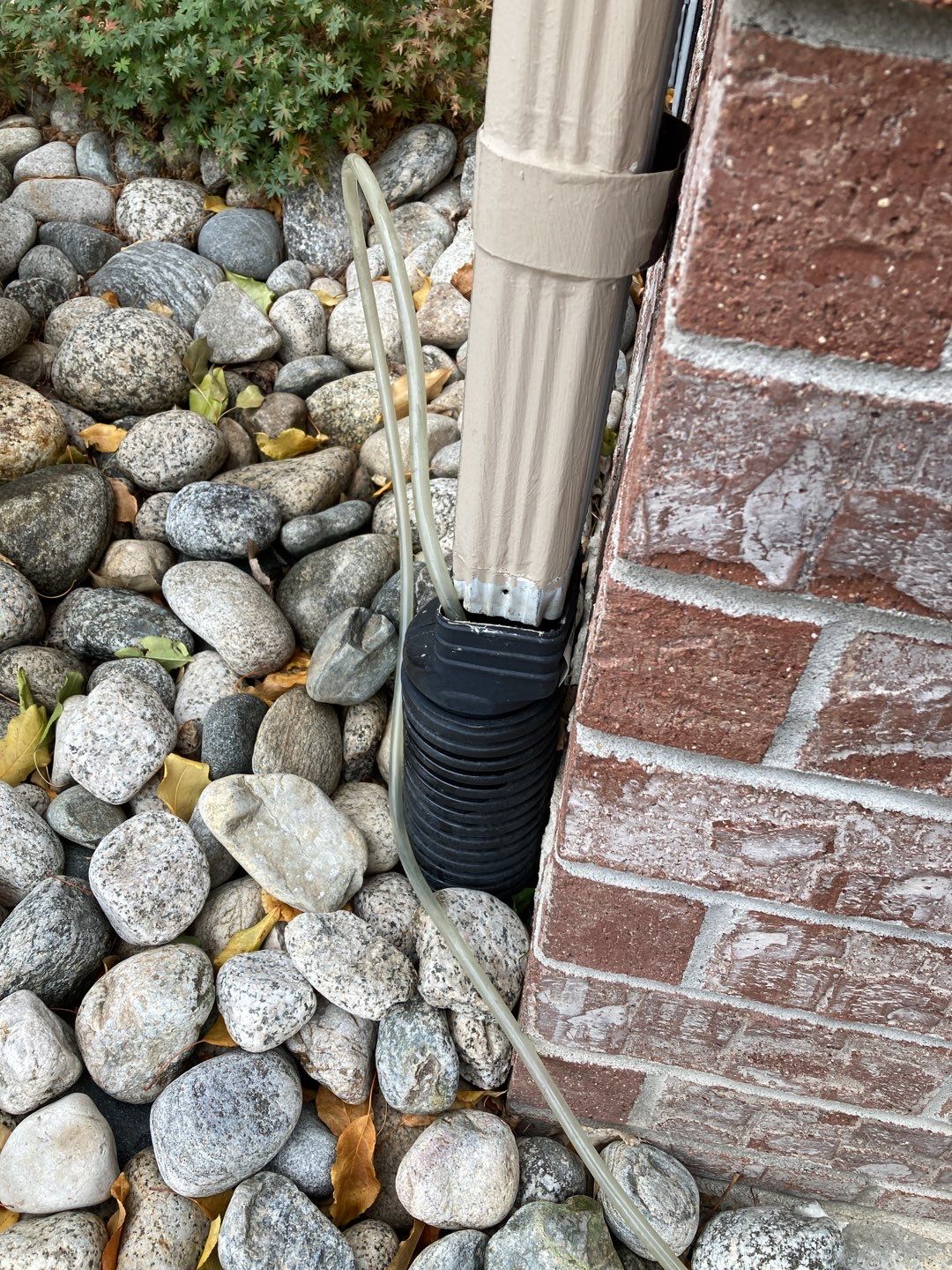 Mold Remediation using Containment by Accountable Home Services