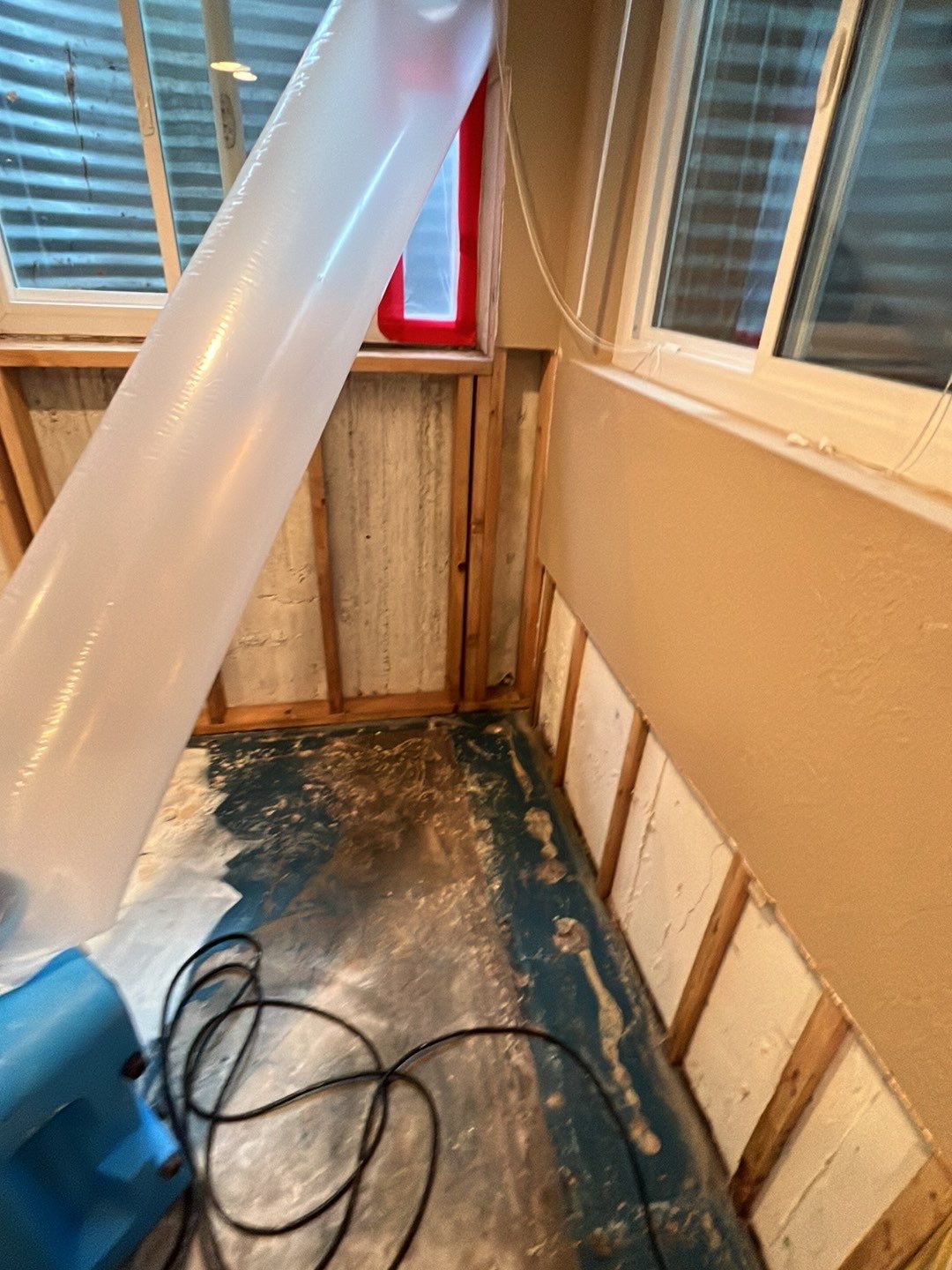 Mold Damage by Accountable Home Services