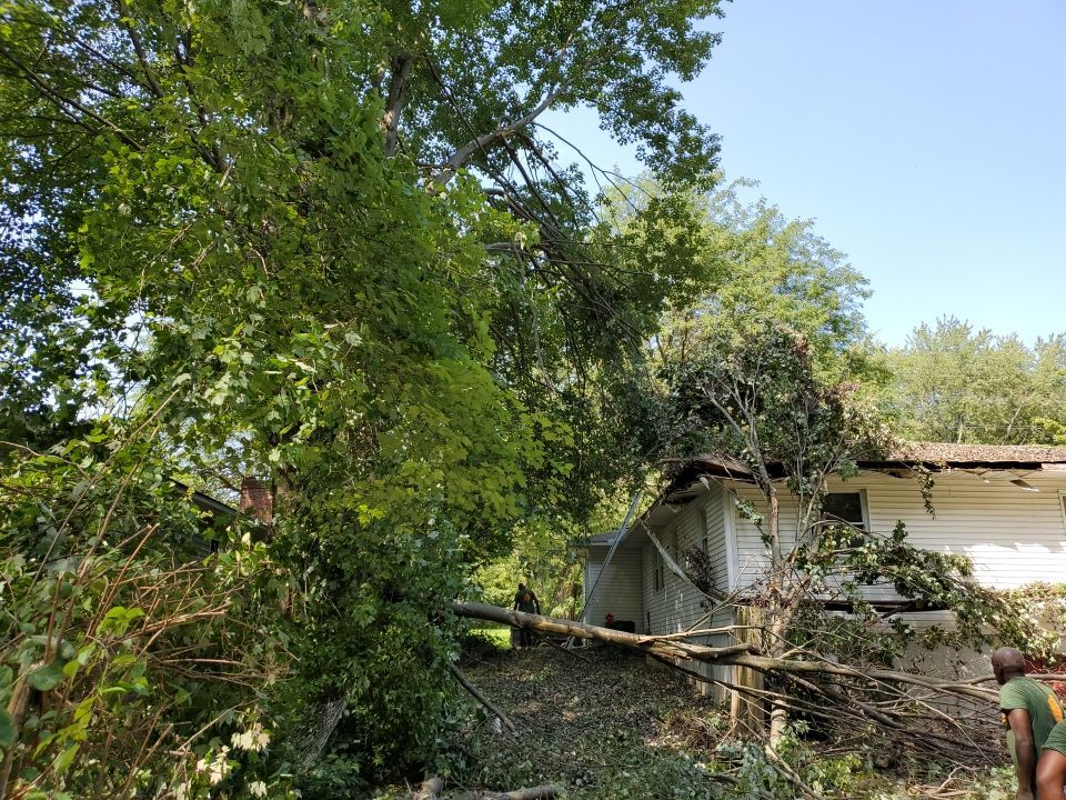 Storm Damaged Tree Removal  by Mike Jones & Sons Tree Service LLC 