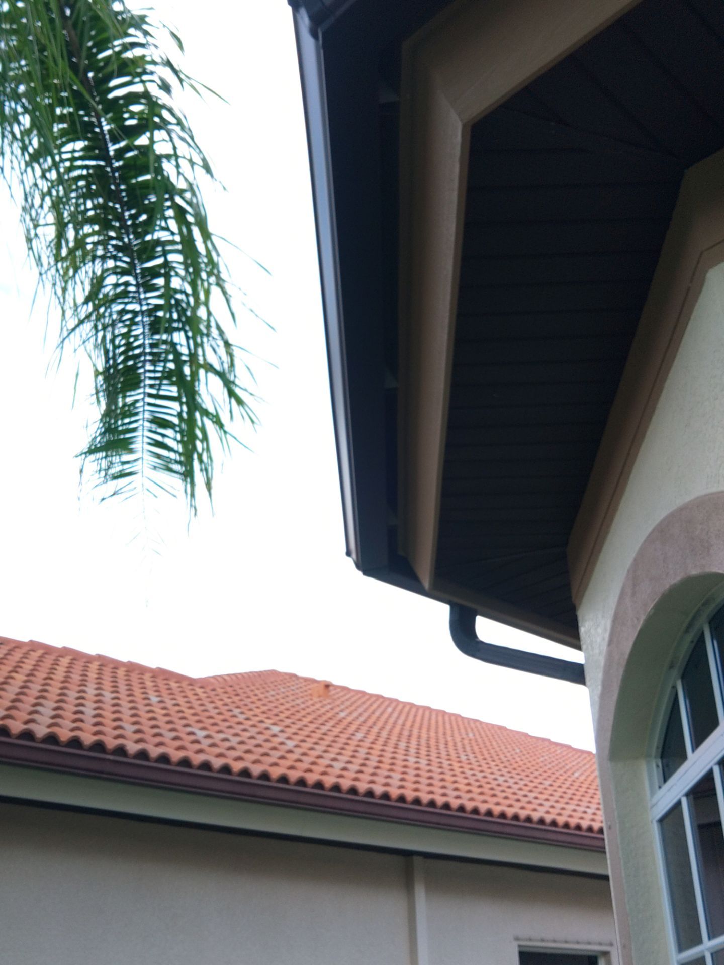Gutter Inspection and Repair in Naples FL by Gutter Professors
