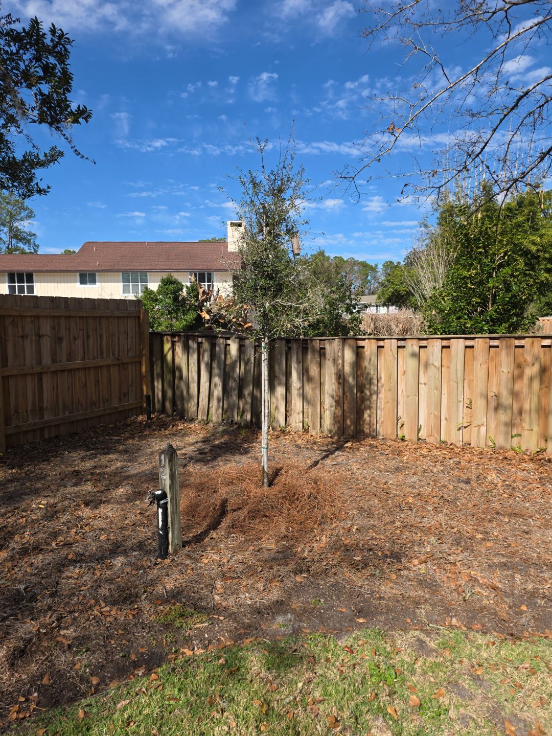 Deerwood Resident | Tree Install by ProGreen Services