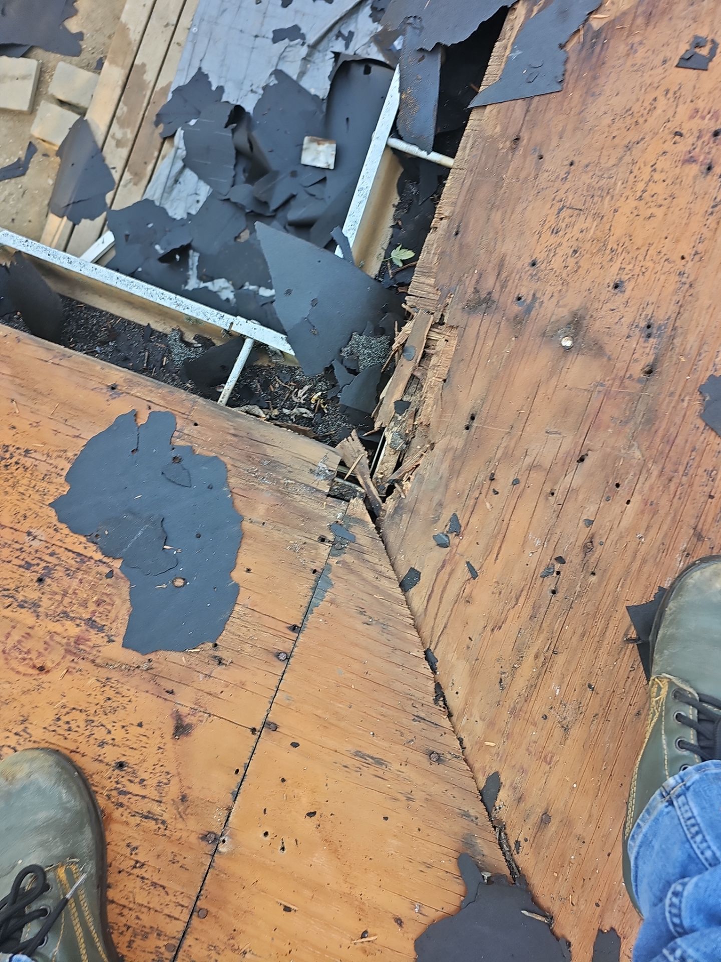 Roof Replacement by Winchester Roofing