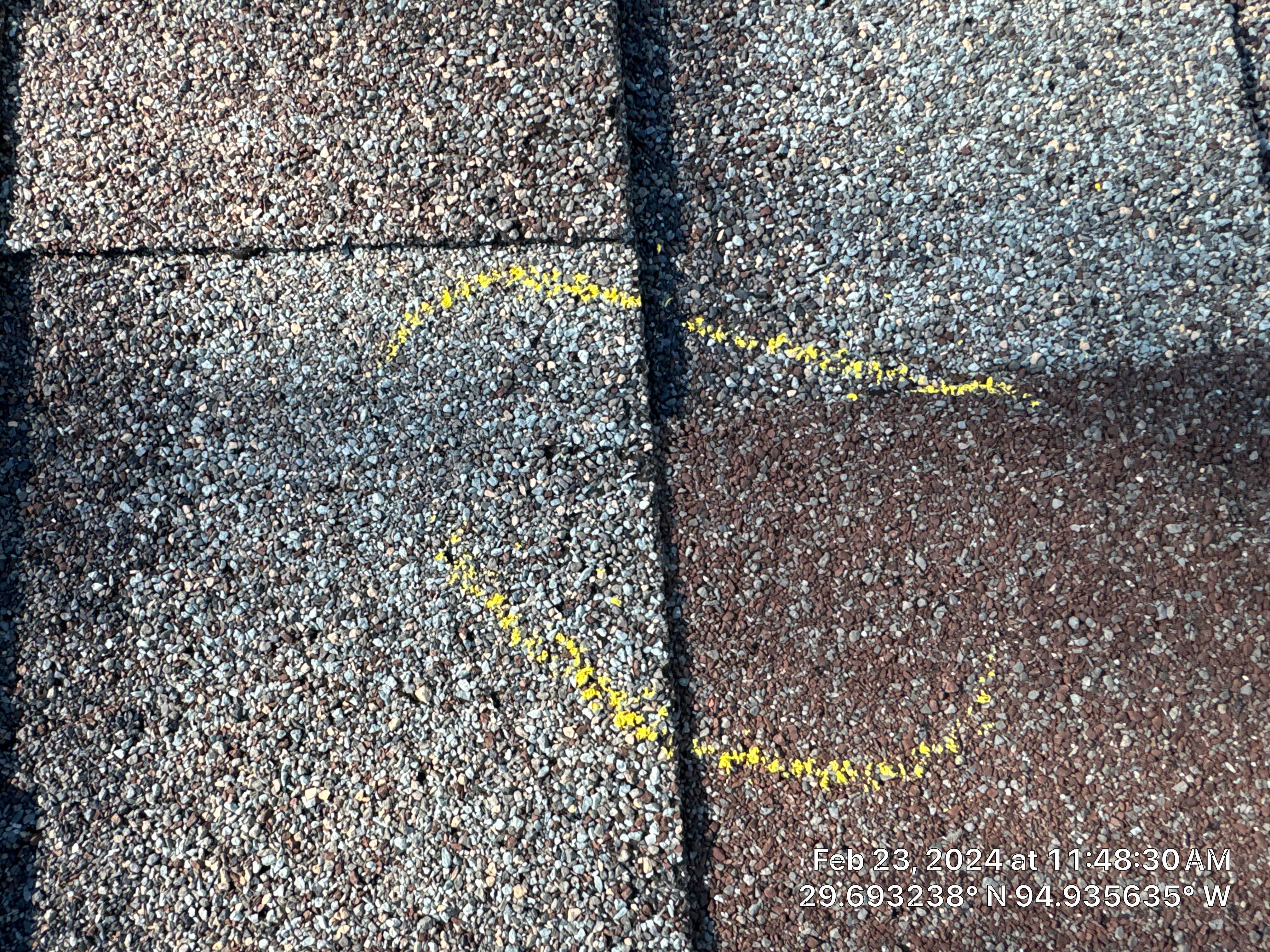 Hail Damage by Southern Belle