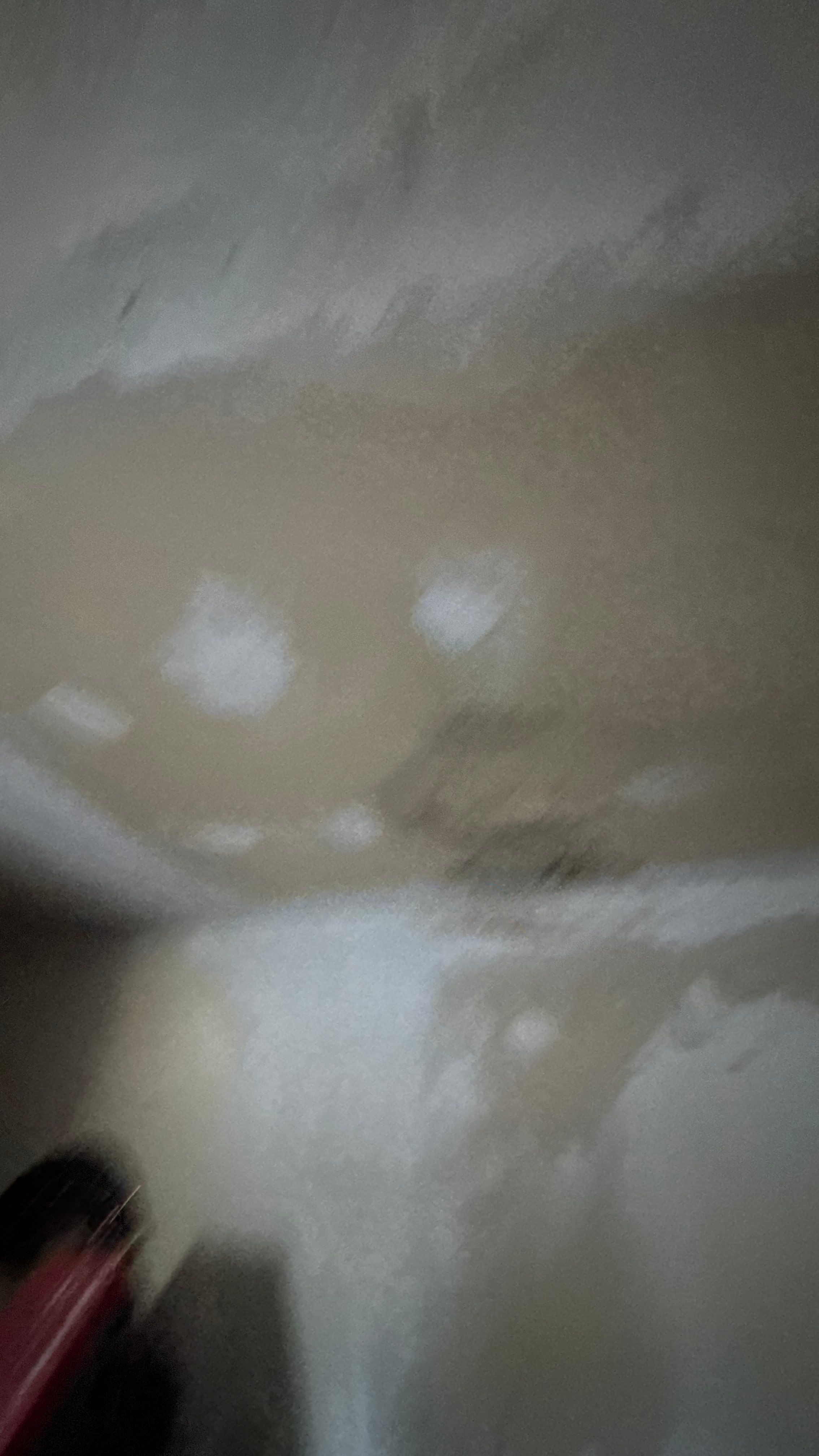 Roof Leak Repair + Fascia/Drip Edge & Gutter Reset - Belleville, IL by Legendary Services Company LLC.