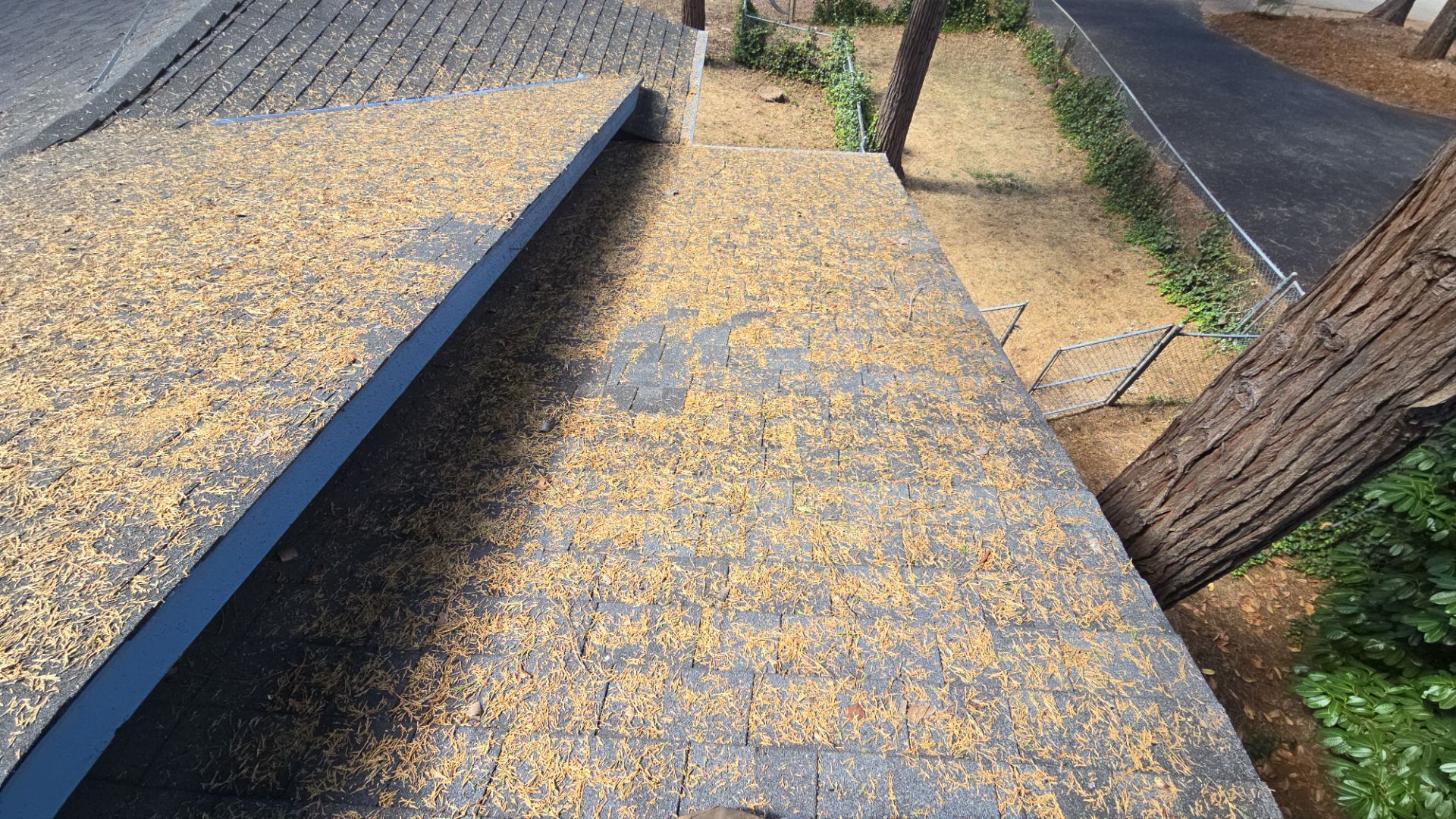 Roof Rejuvenation using Roof Maxx Treatment by Roof Maxx of Folsom