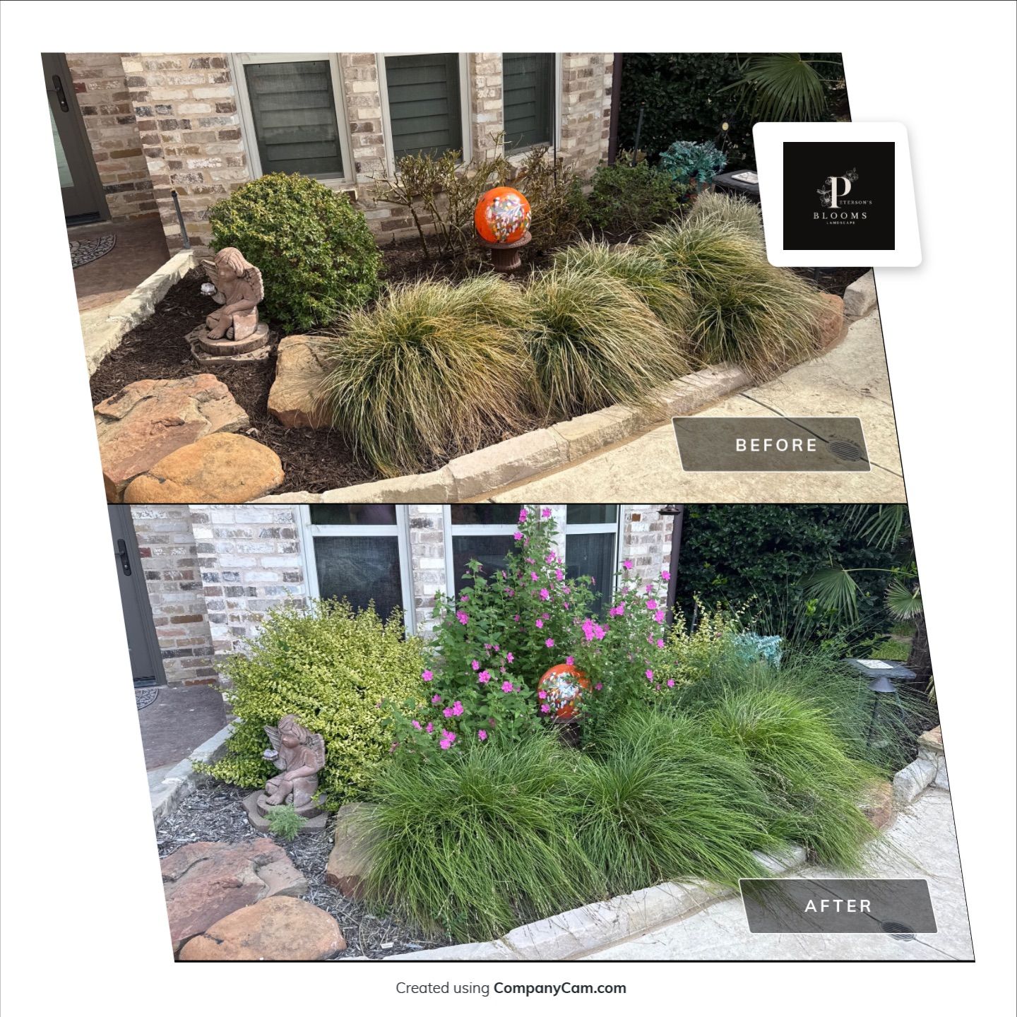 Before and Afters by Peterson’s