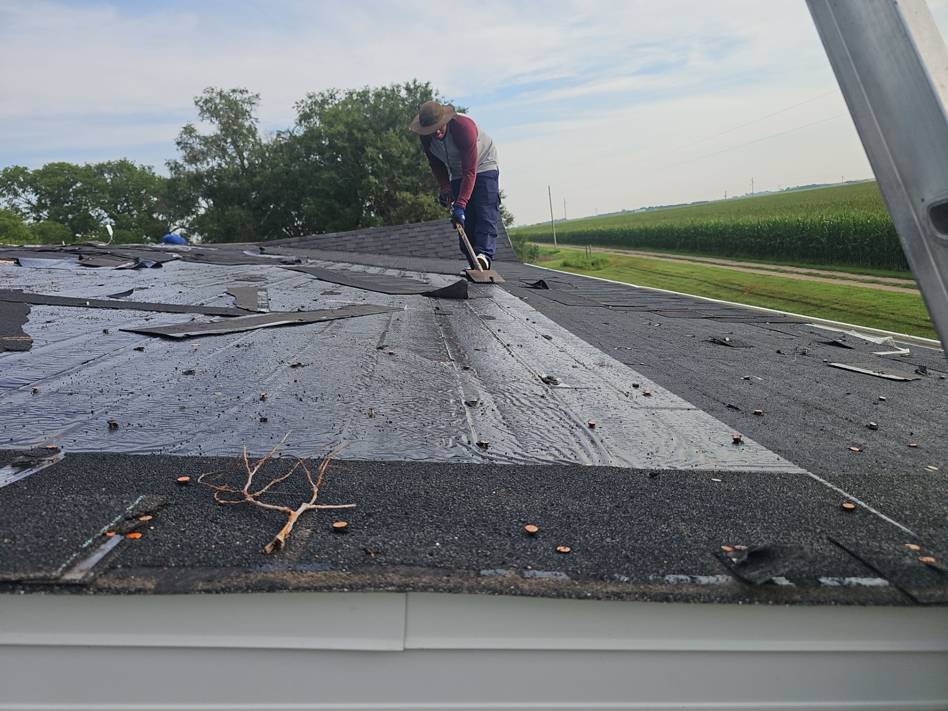 Riverdale Exterior Transformation | TAMKO Roofing & James Hardie Siding by Loyal Nine