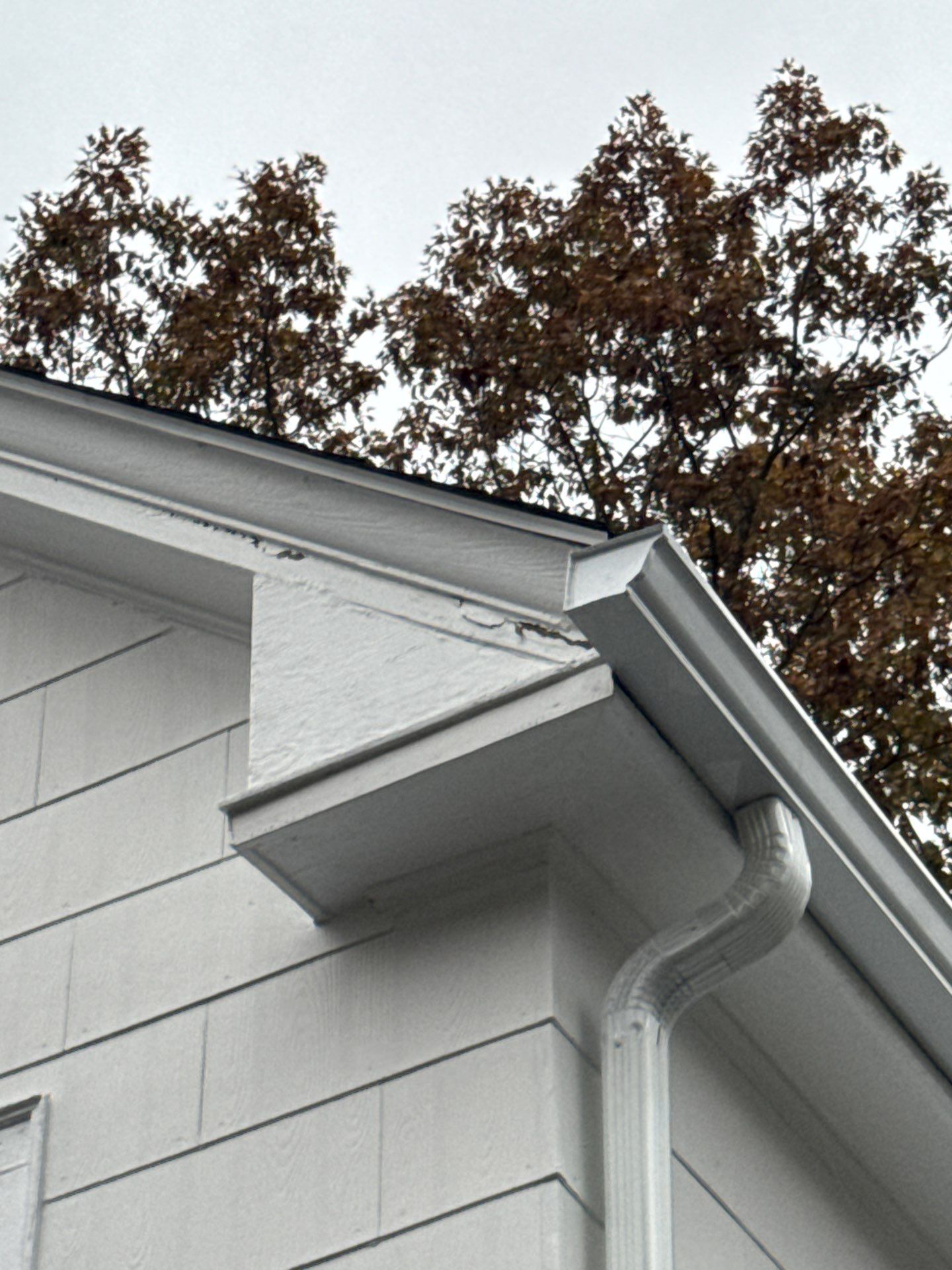 Maynard Gutter Replacement with Trex Leaf Guard System by Mighty Dog Roofing of Greater Middlesex County