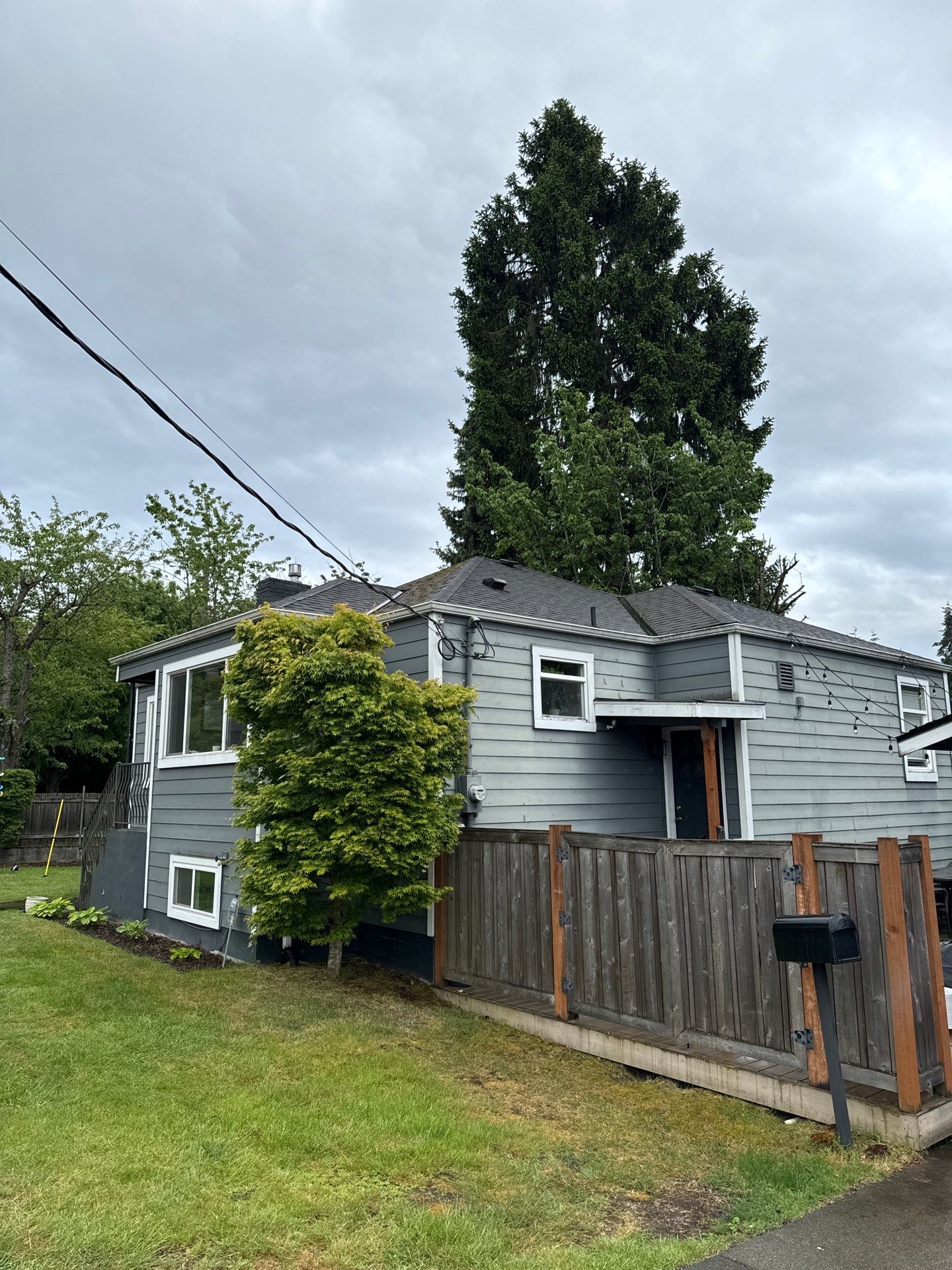 Project in Seattle by Peaks and Valleys Construction