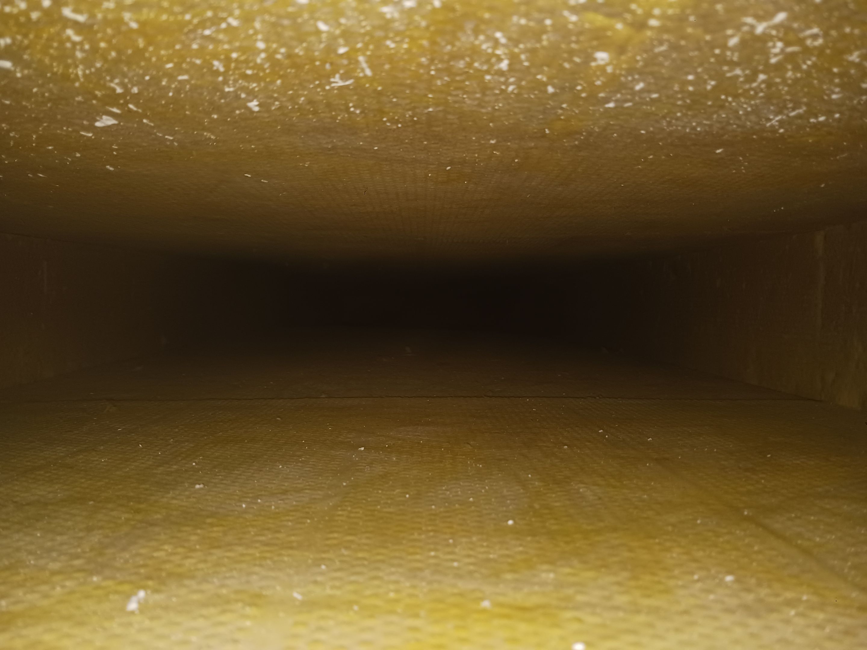Commercial Air Duct Cleaning in Leesburg by Hygienic Air, Inc