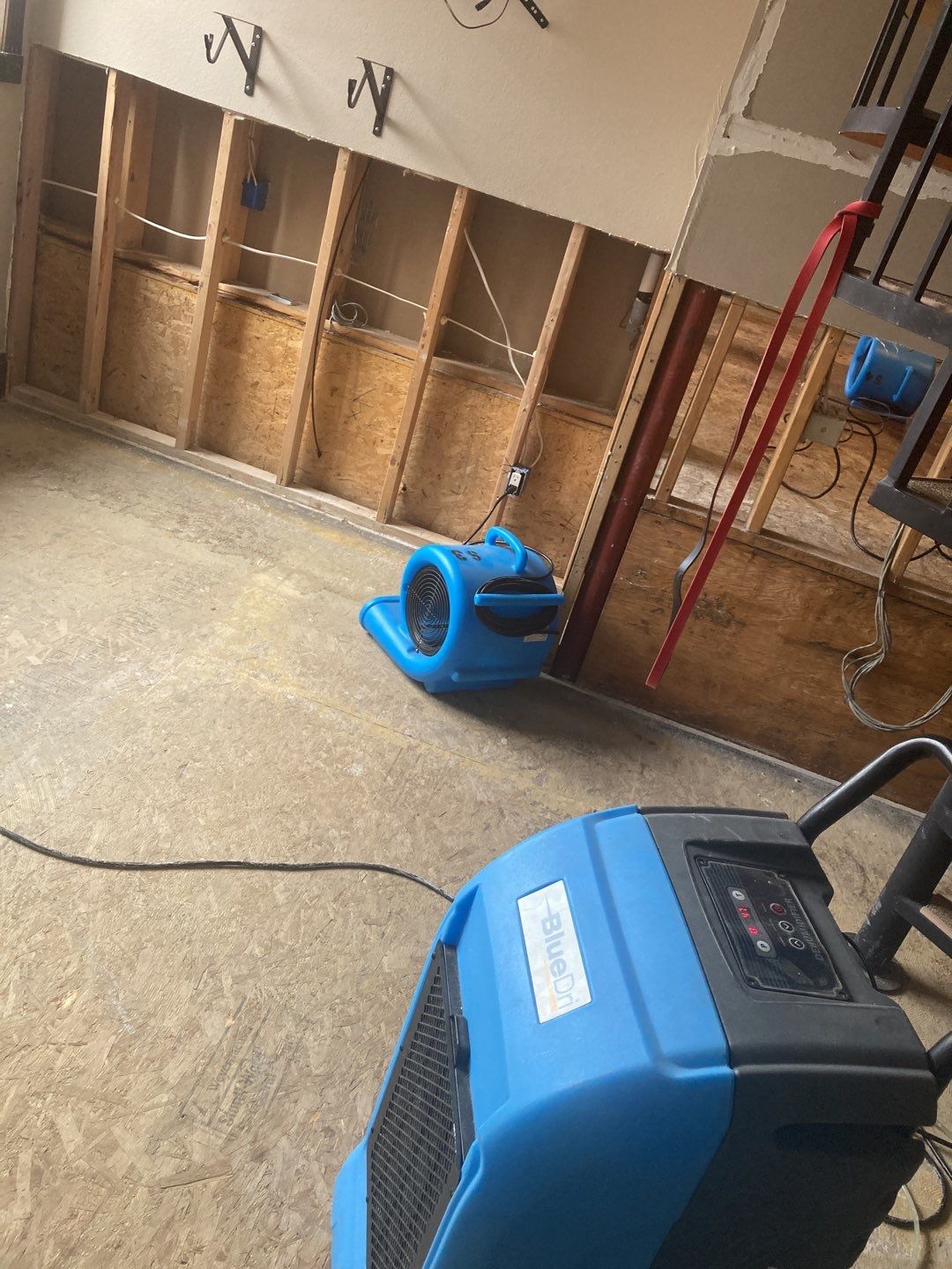 Water Damage Throughout Main Floor, Basement, and Crawl Space by Accountable Home Services