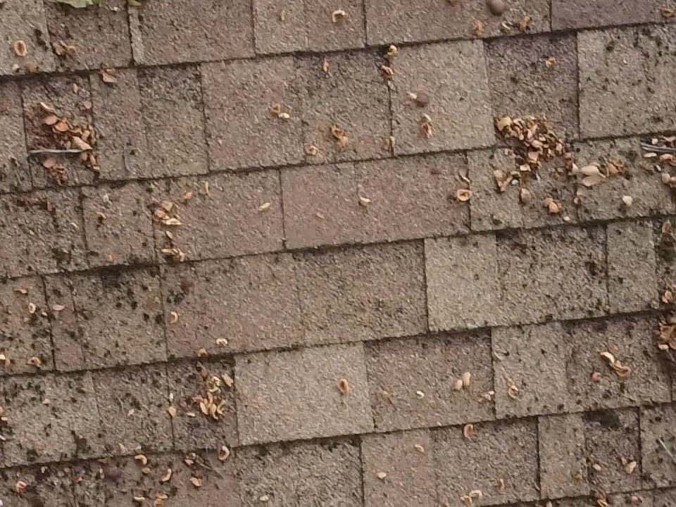 Project in Glen Allen by Roof Maxx of Midlothian