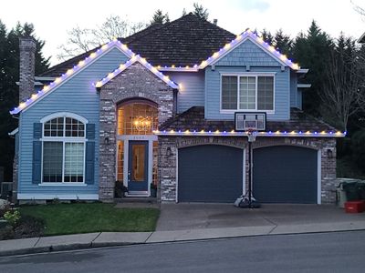 Holiday Lighting using C9 Opaque LEDs