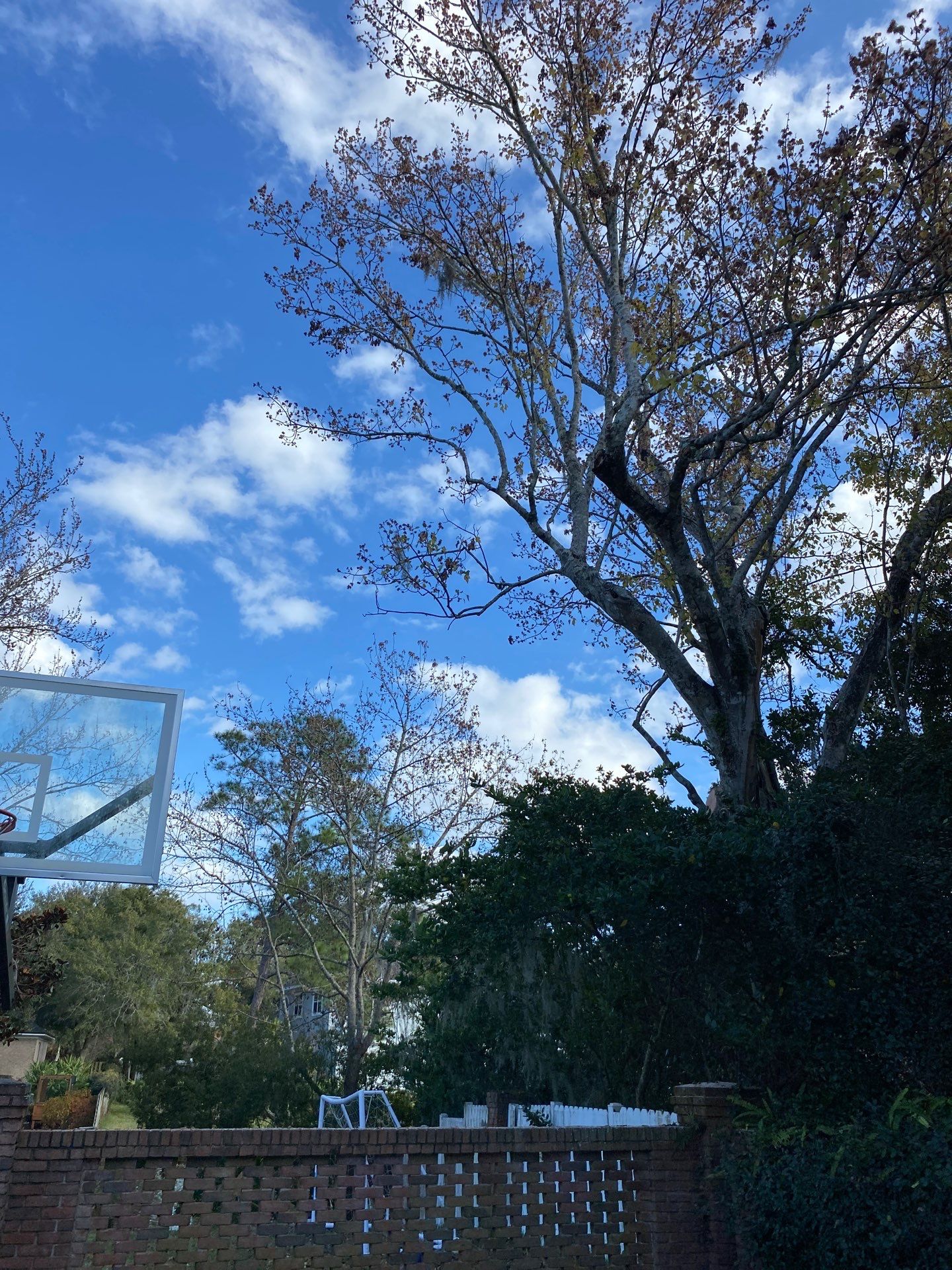 Deerwood Resident | General Landscaping by ProGreen Services