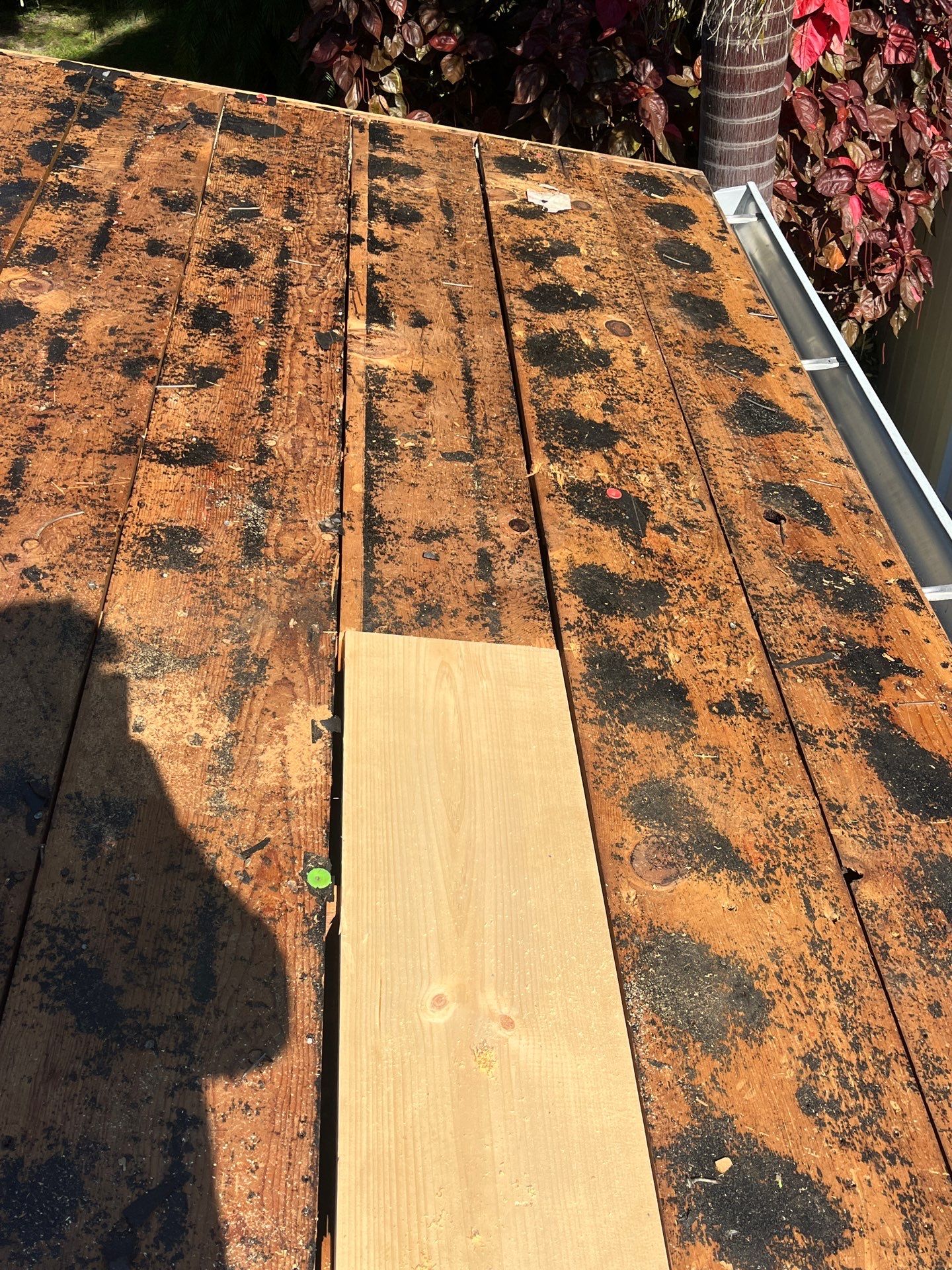 Project in St. Petersburg 33710 by Mitchell Roofing Company LLC 