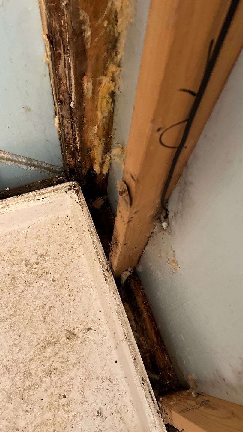 Water Damage and Mold Remediation by Accountable Home Services