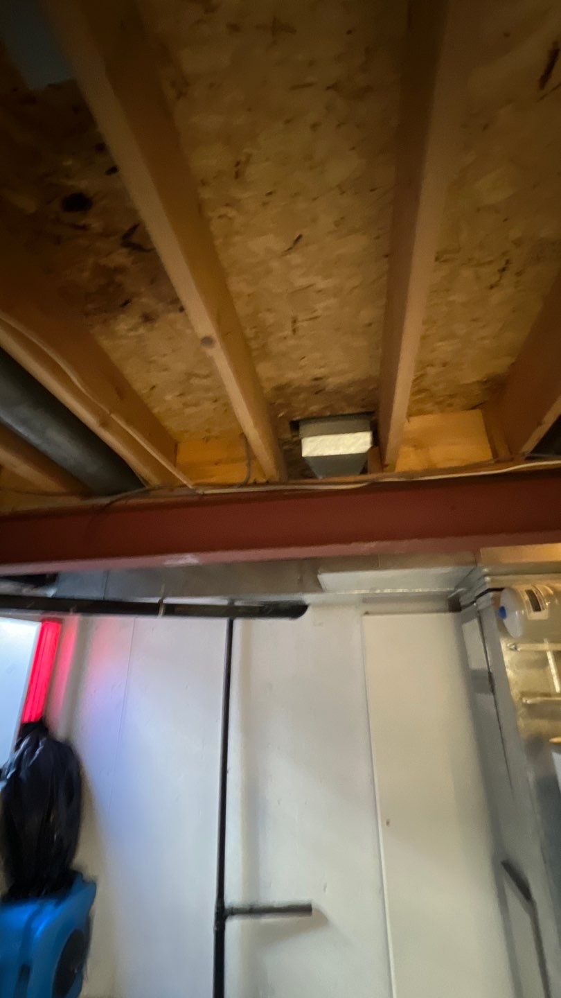 Mold Damage by Accountable Home Services