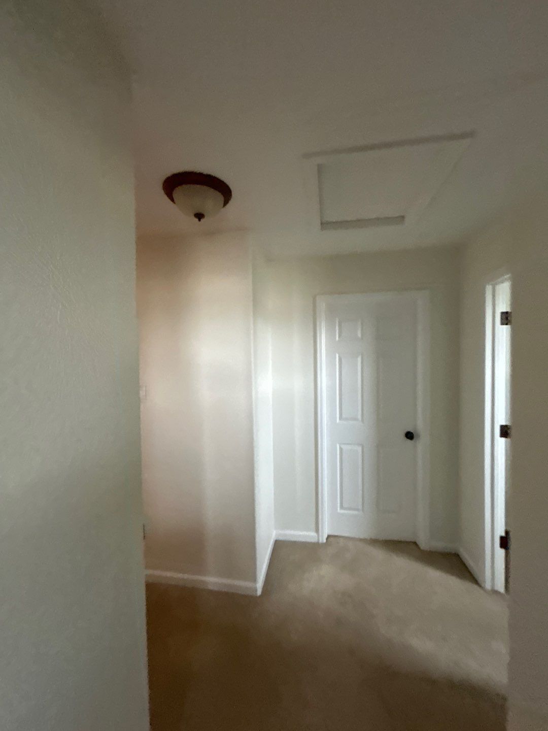 Paint Project in Broomfield by Accountable Home Services