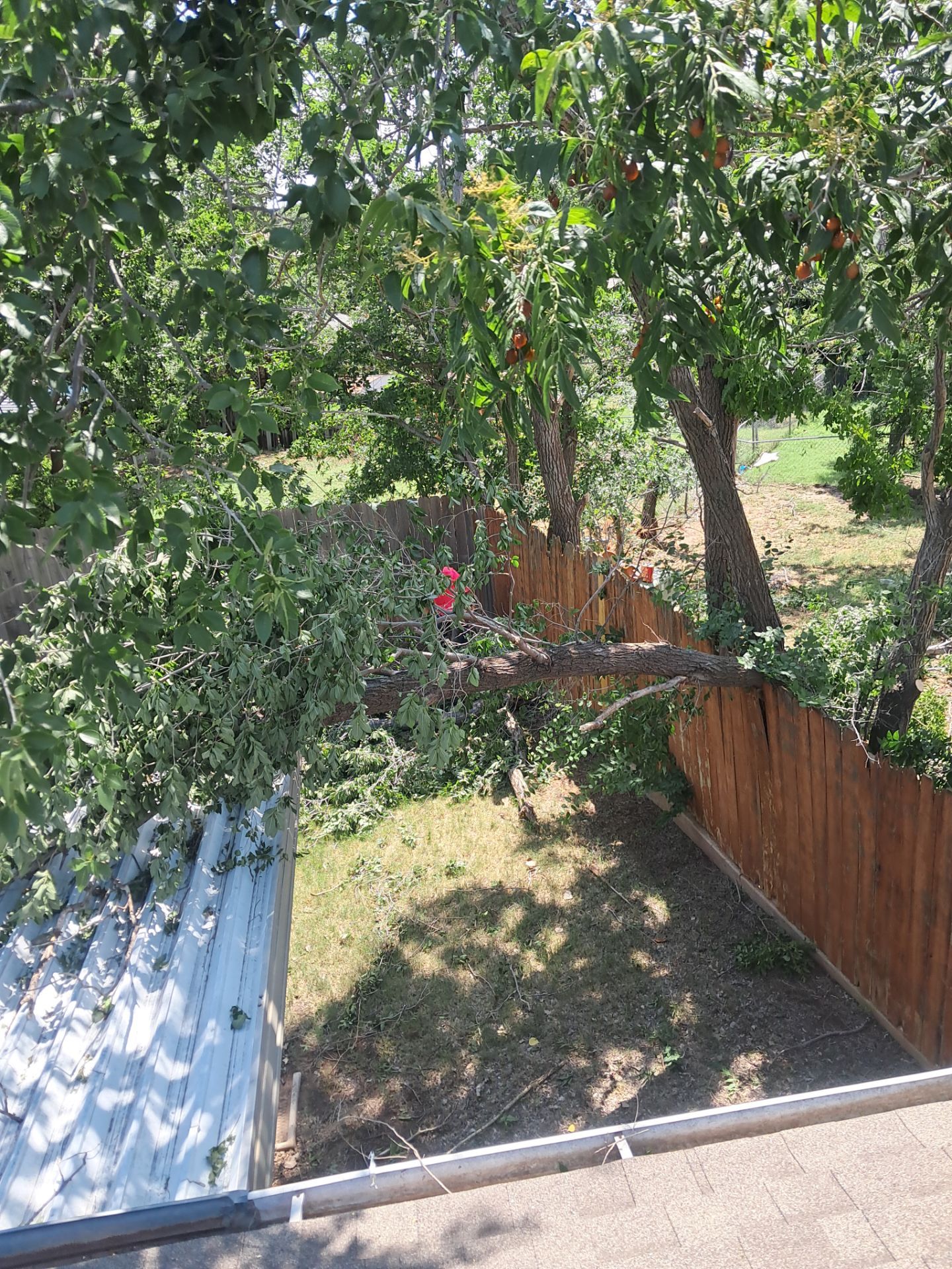 Emergency Tree Removal and Sod Installation Restoration in Lawton by Clays Services Inc