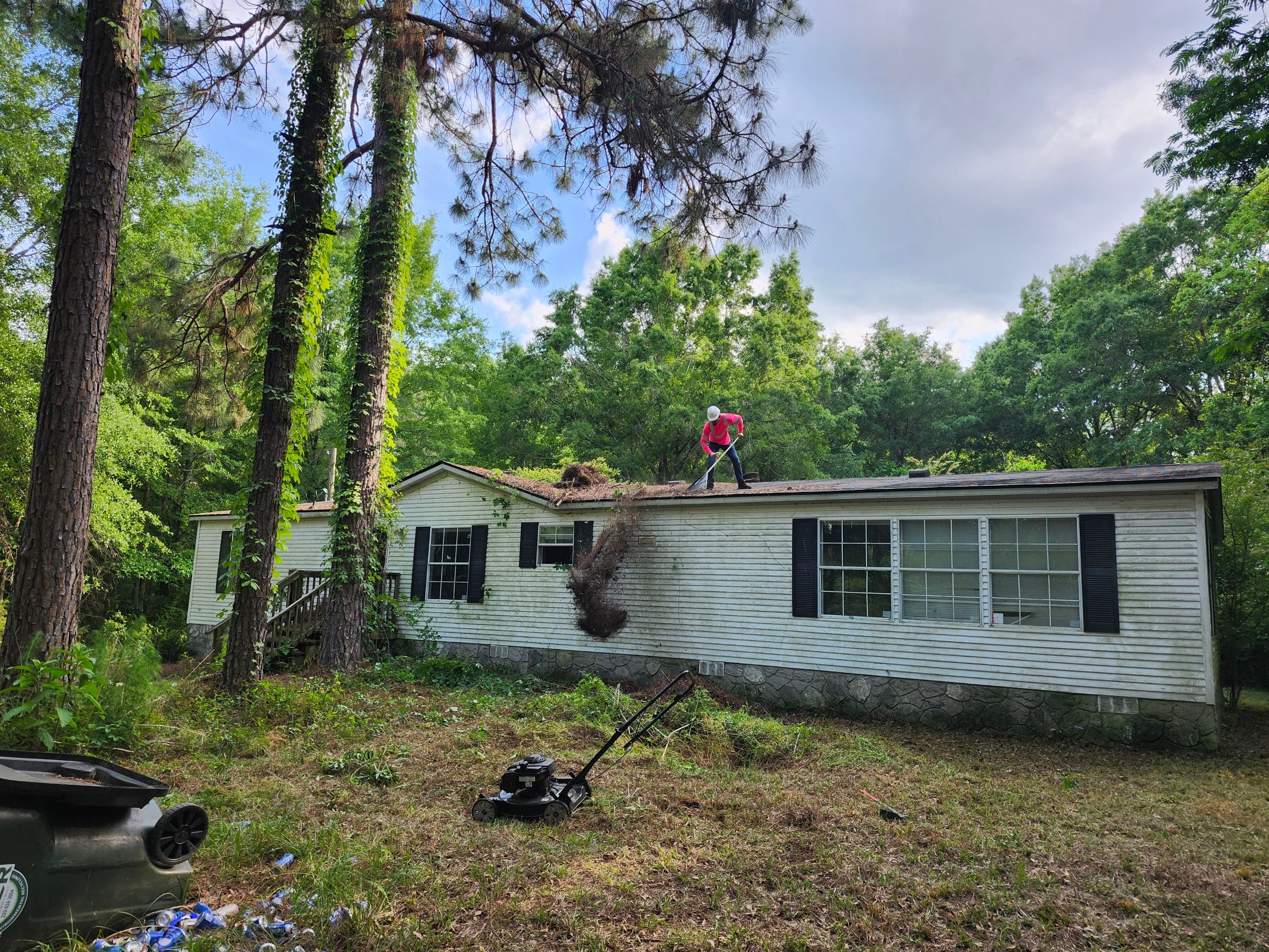 Exterior Clearing - tree trimming - grass cut by Swift Signings and Services LLC