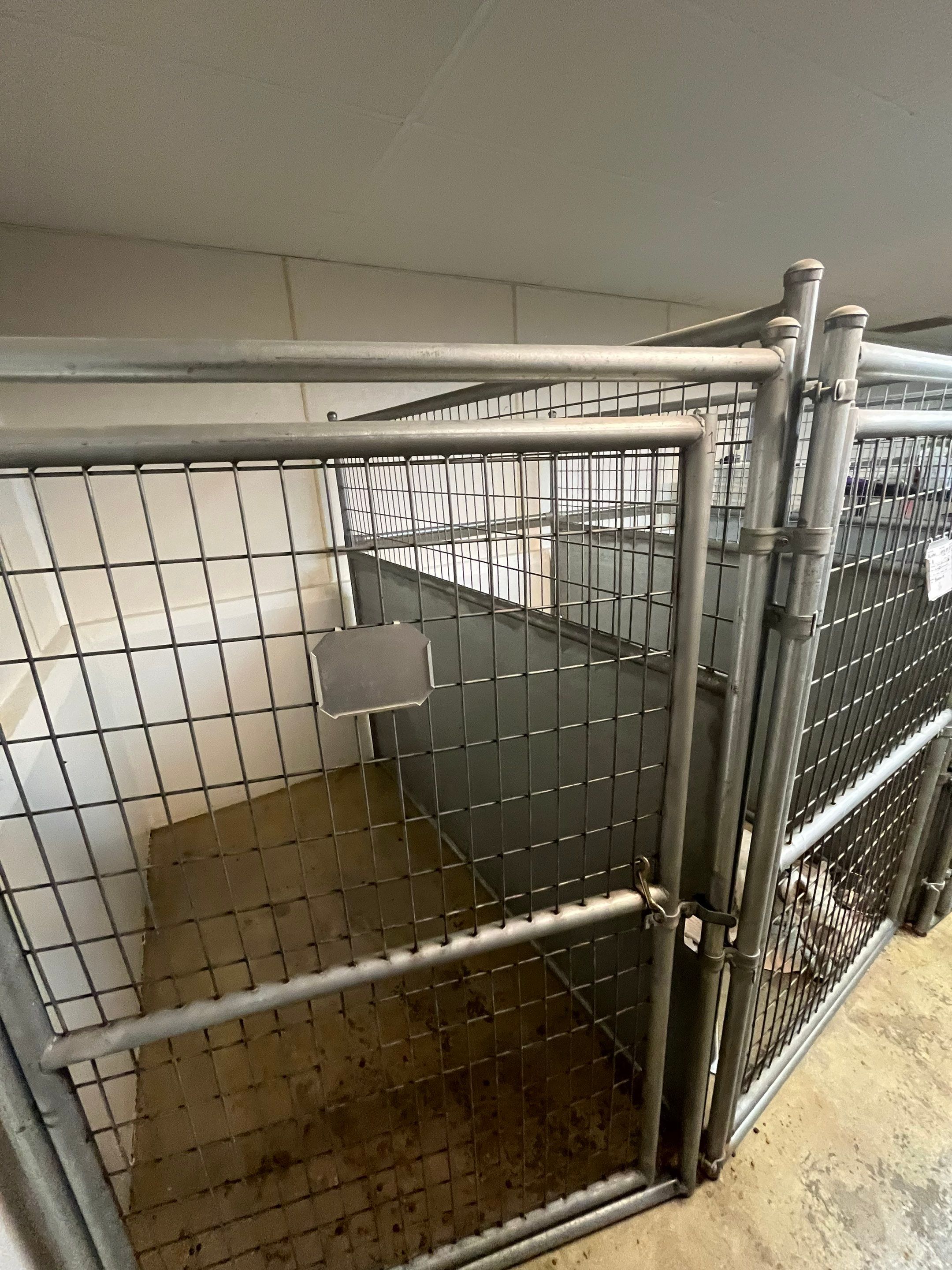 Durable Commercial Concrete Coatings for Brandon Valley Veterinary Clinic by Select Painting, Coatings & Garage Cabinets
