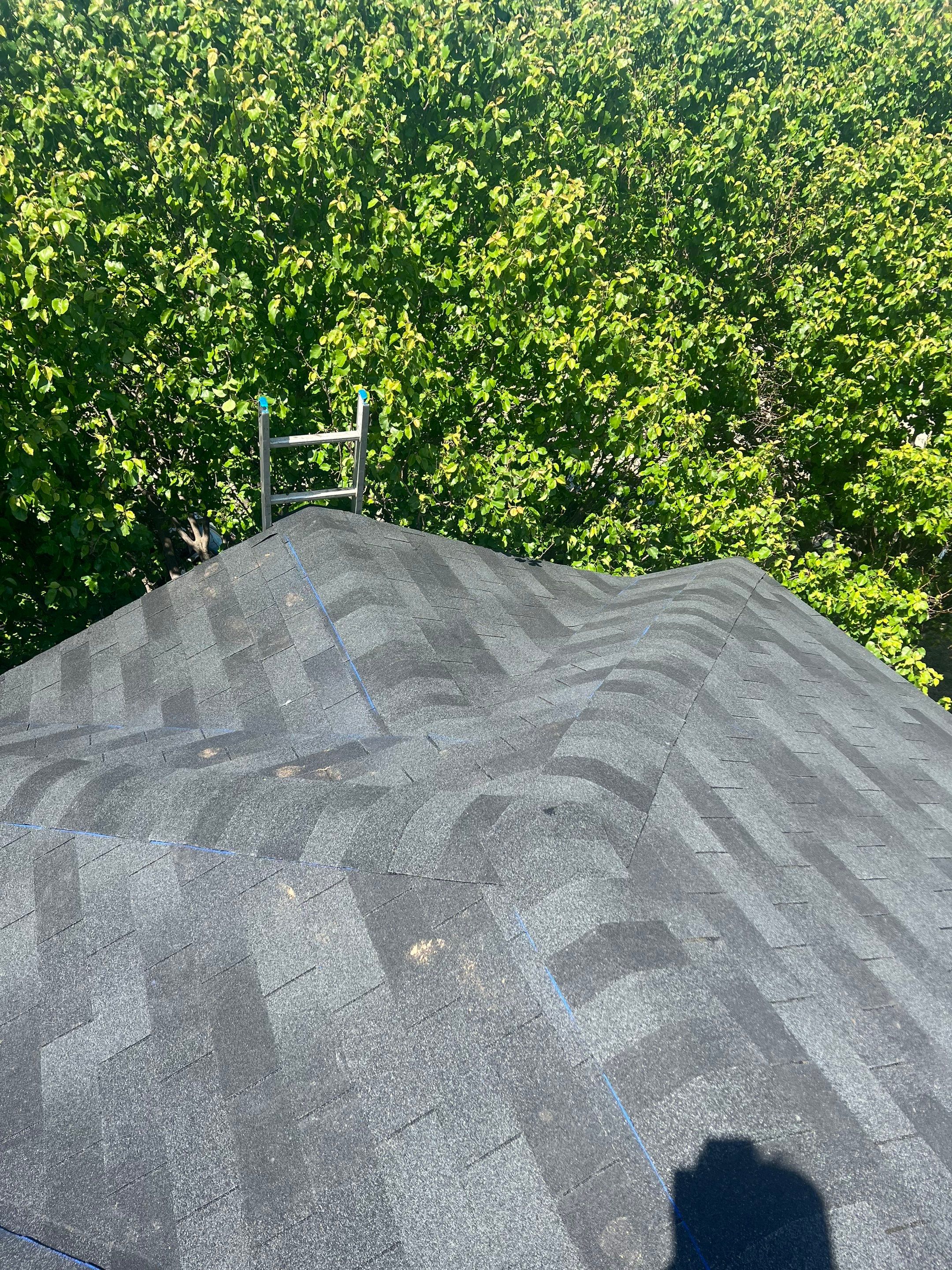 Residential Restoration in Little Elm, Texas by Springtree Restoration 