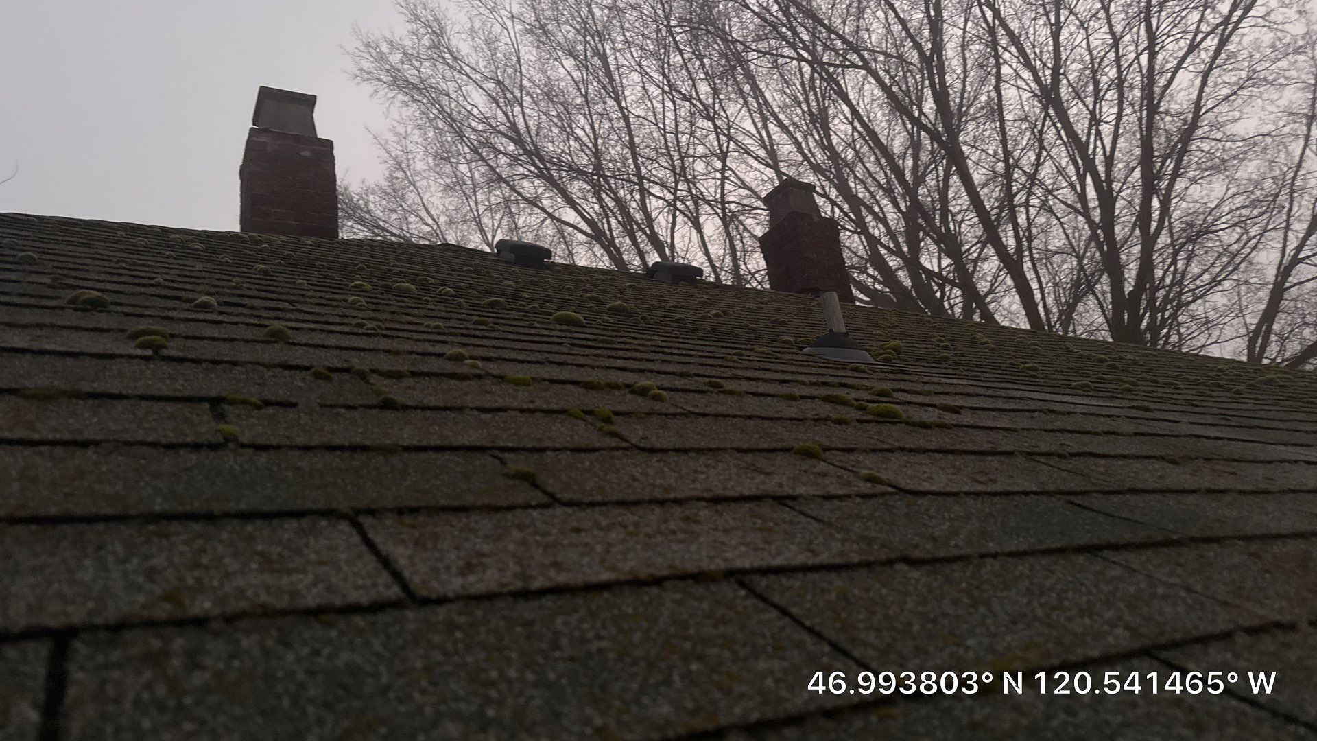 Residential Roof Replacement and Sheathing Repair in Ellensburg by Alpine Roofing