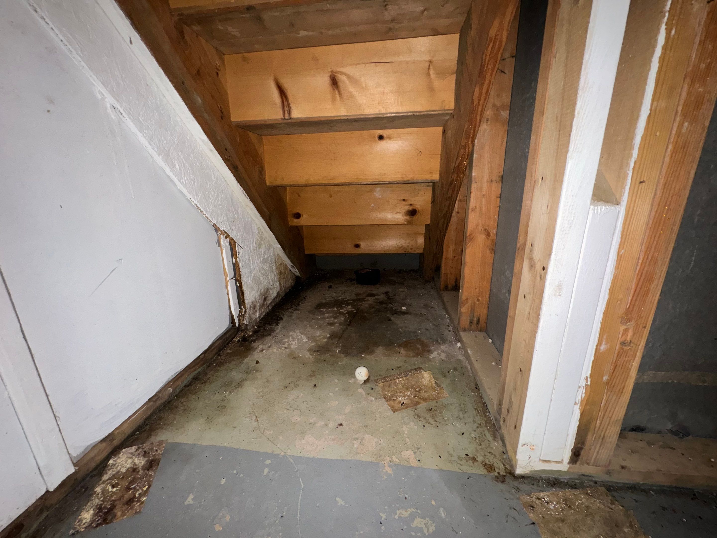 Mold Remediation using Home Guarantee by Home Guarantee, LLC