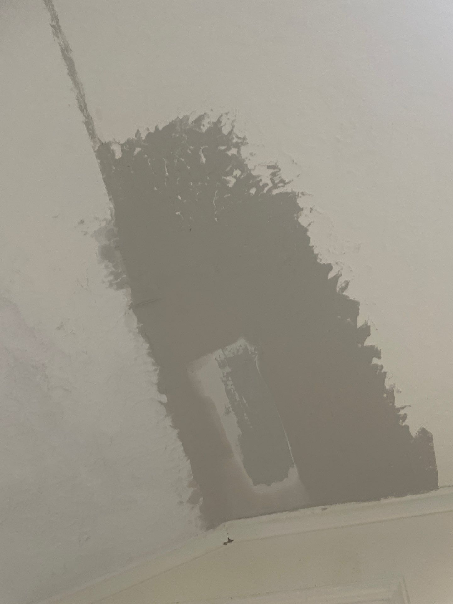 Roof Repair Houston by Roof Repair Company
