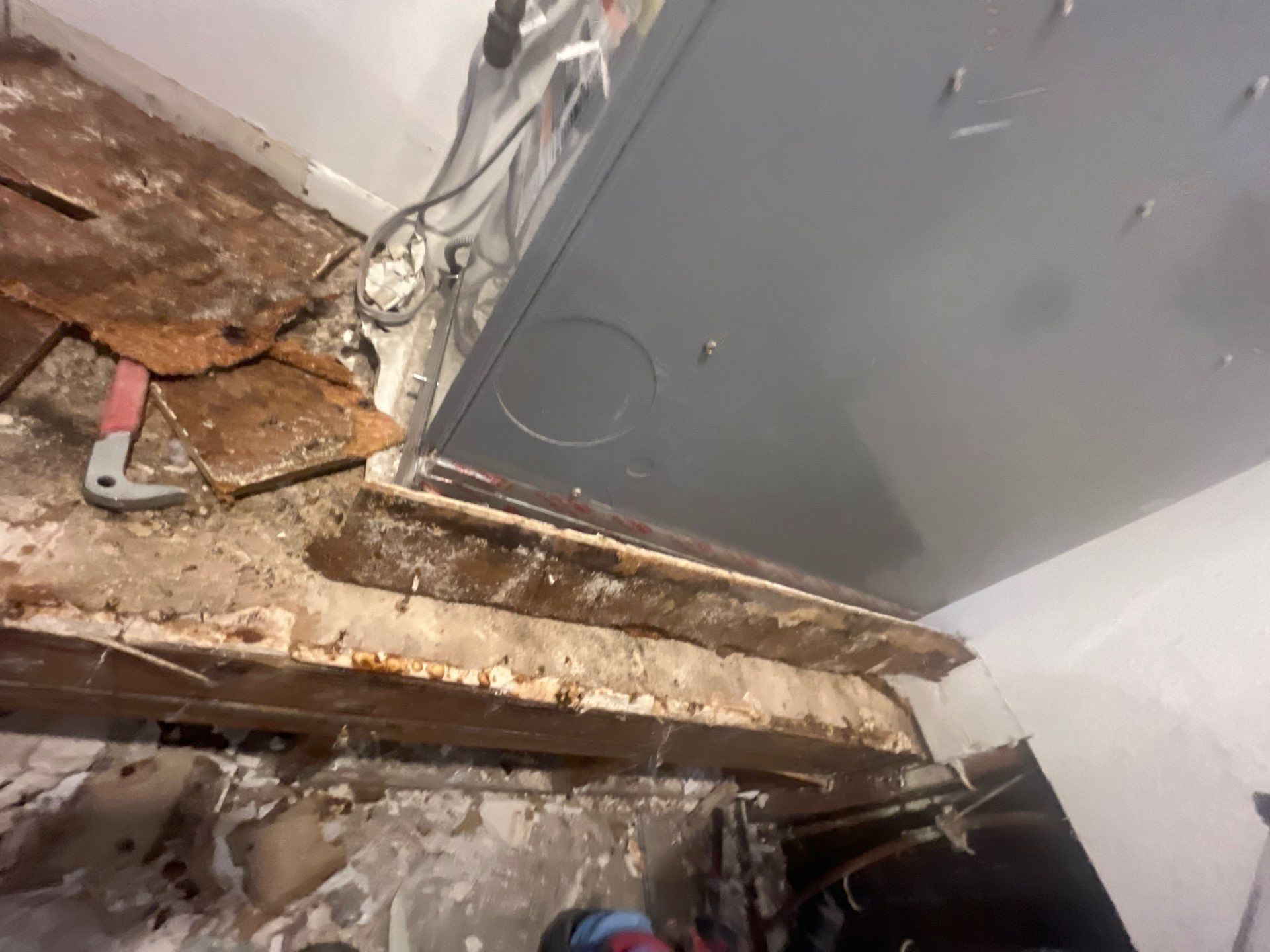 Mold Remediation & Rebuild in Laguna Niguel by One Stop Source
