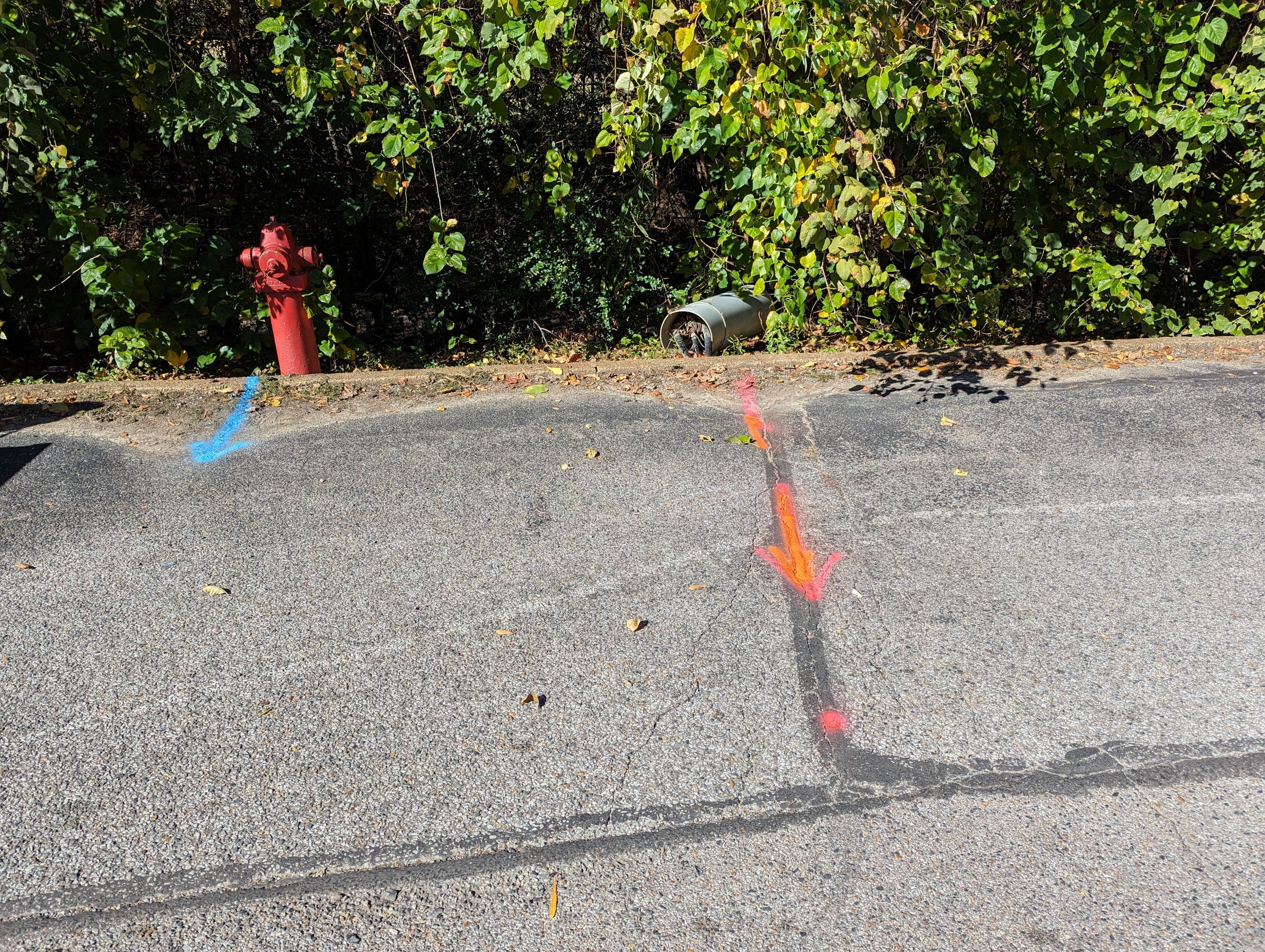 Utility Locating and Verification for Survey Crew by Alsip Locating Service, LLC