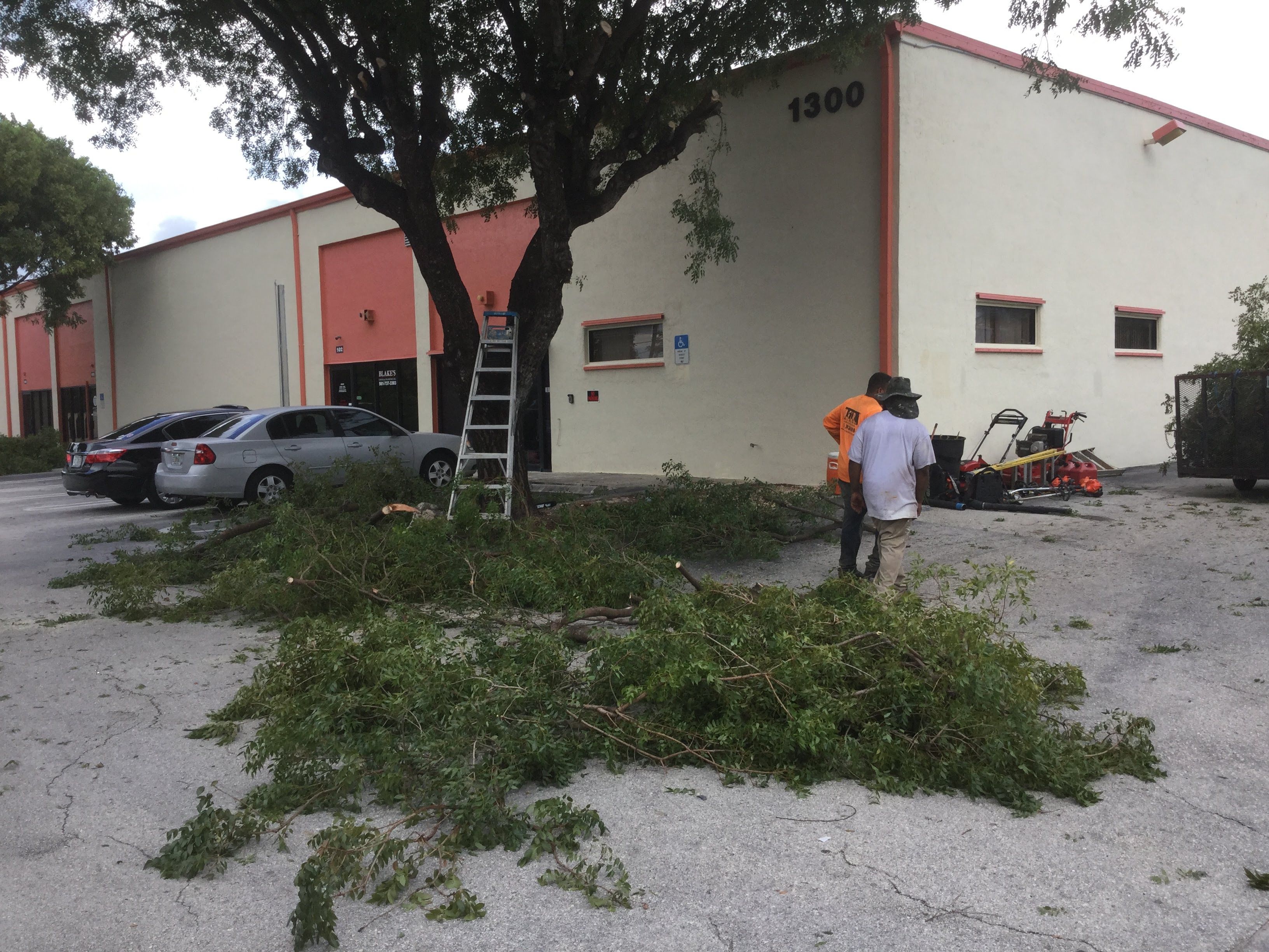 Commercial Tree Trimming & Debris Removal by
M.A.B. Landscaping & Property Maintenance