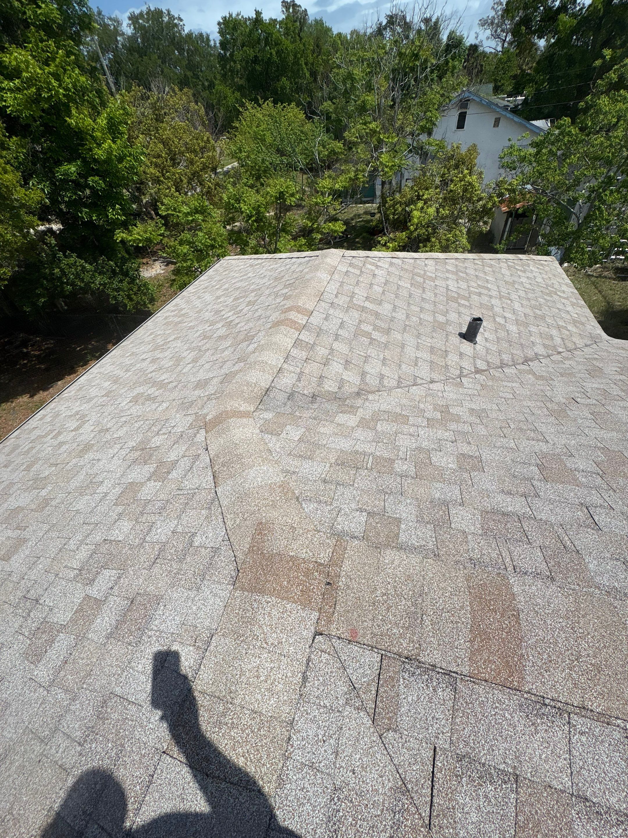 Shingle Reroof Replacement Daytona Beach FL by Pinnacle Roofing Group